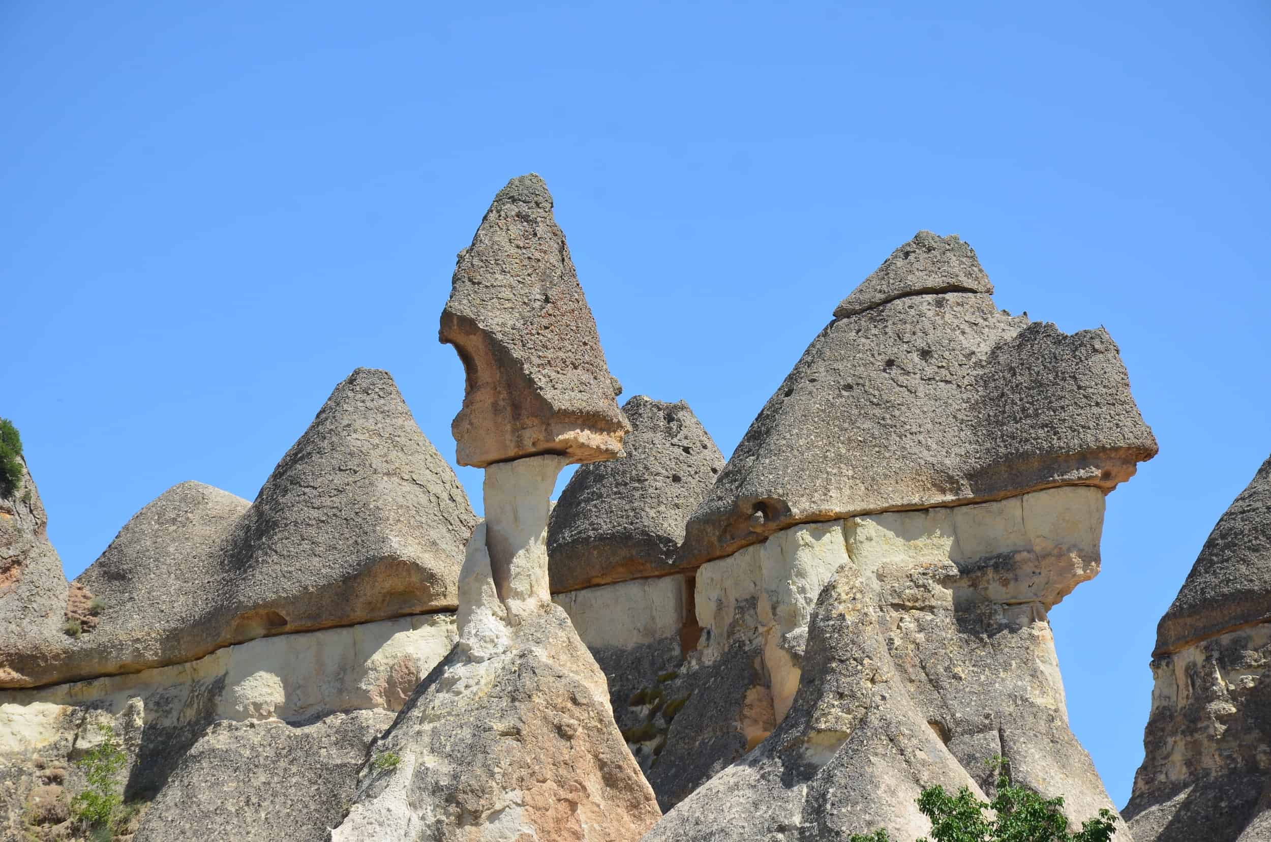 Mushroom-capped fairy chimney at Paşabağ (Monk's Valley) in Cappadocia, Turkey