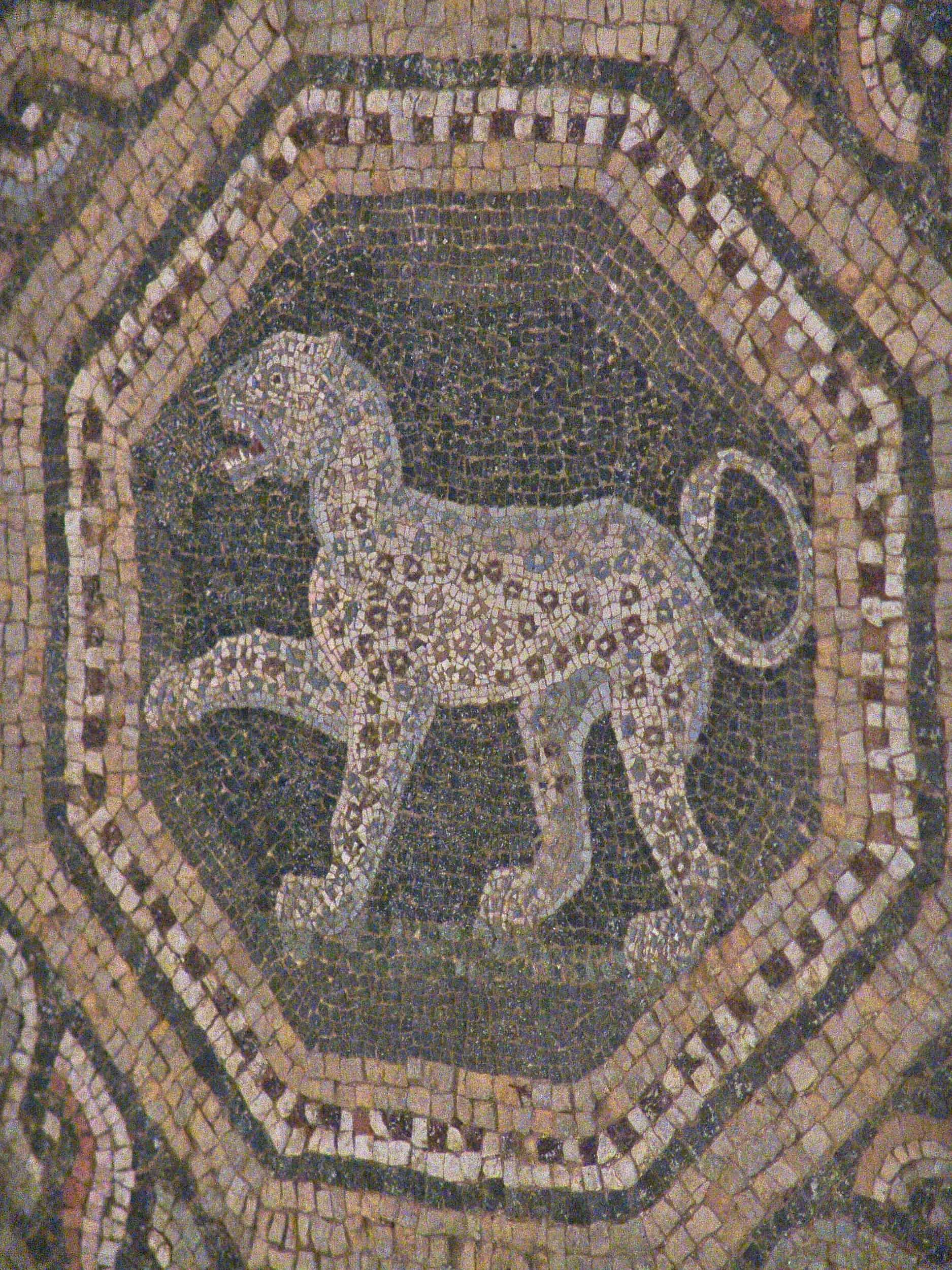 Leopard on a mosaic floor of Building Z