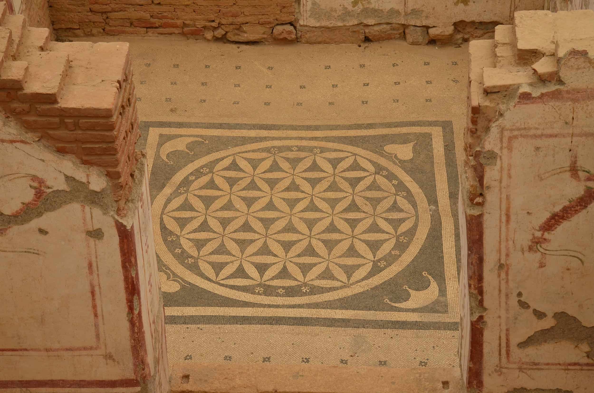 Mosaic floor of Dwelling Unit 1 of the Terrace Houses in Ephesus