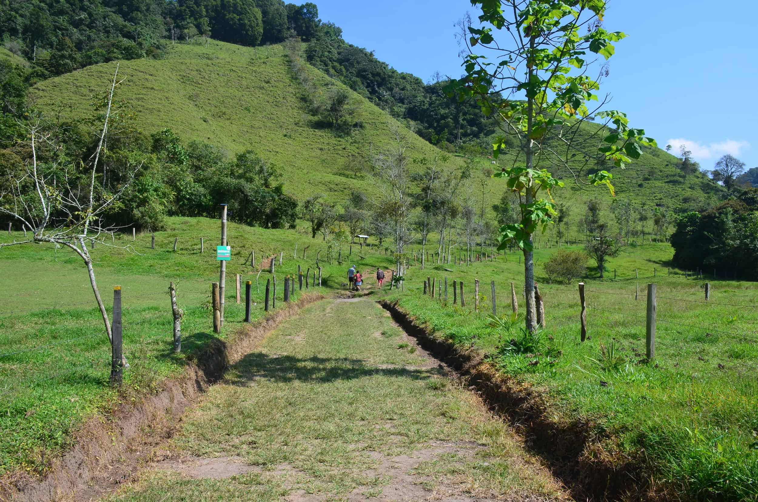 Beginning of the Antonio Trail at Santa Rita Nature Reserve in Boquía, Salento, Quindío, Colombia