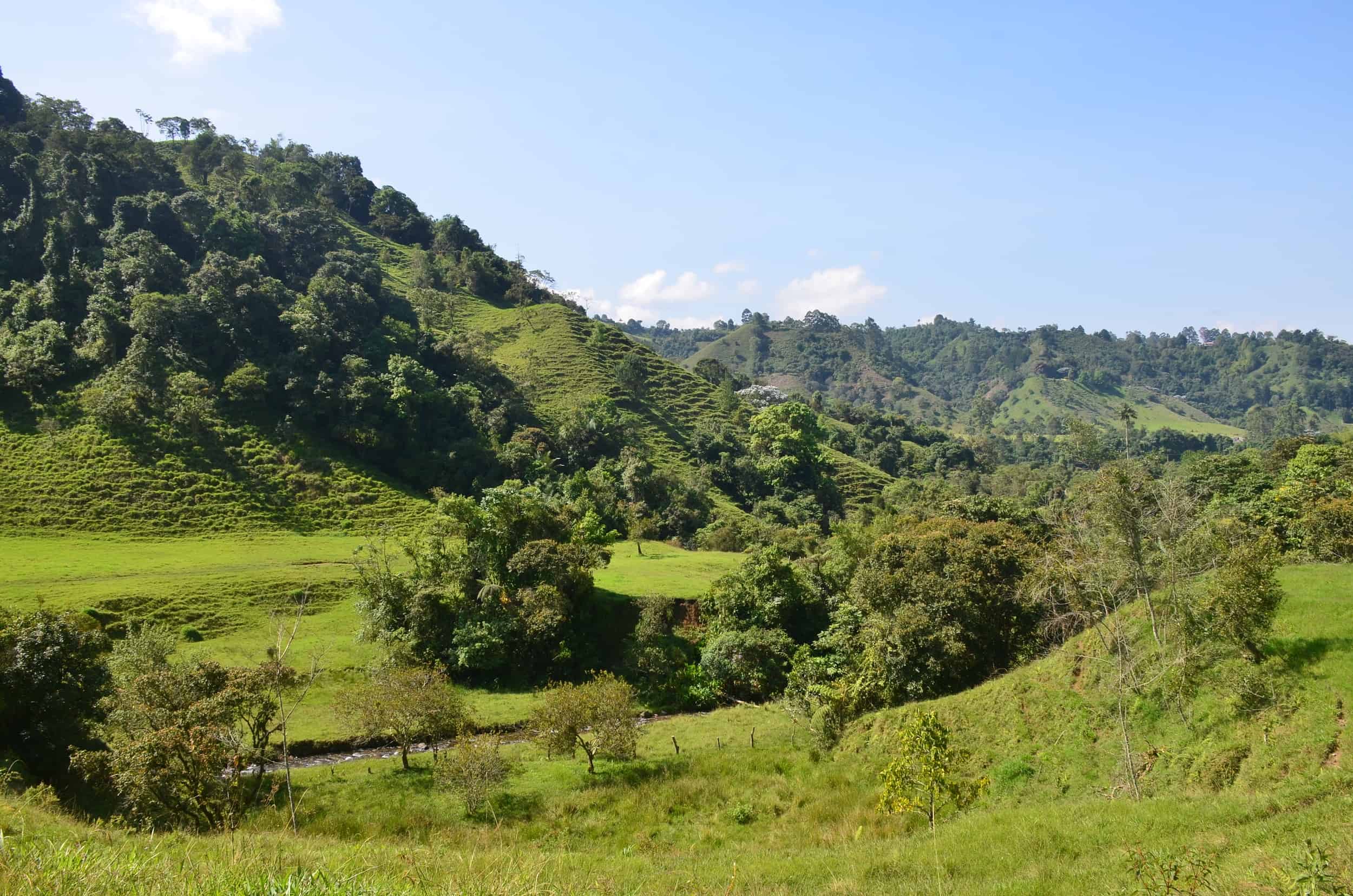 View from the trail at Santa Rita Nature Reserve in Boquía, Salento, Quindío, Colombia