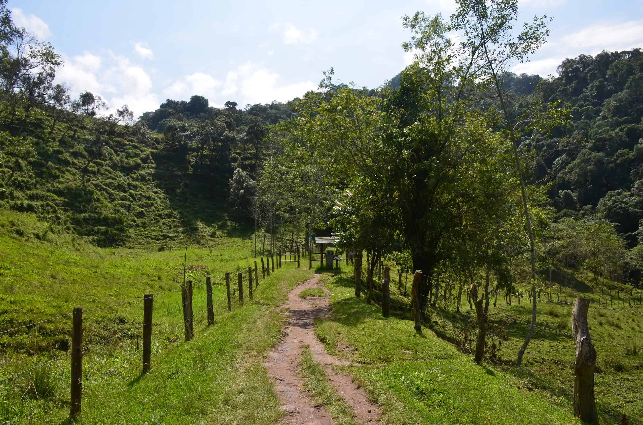 Antonio Trail at Santa Rita Nature Reserve in Boquía, Salento, Quindío, Colombia