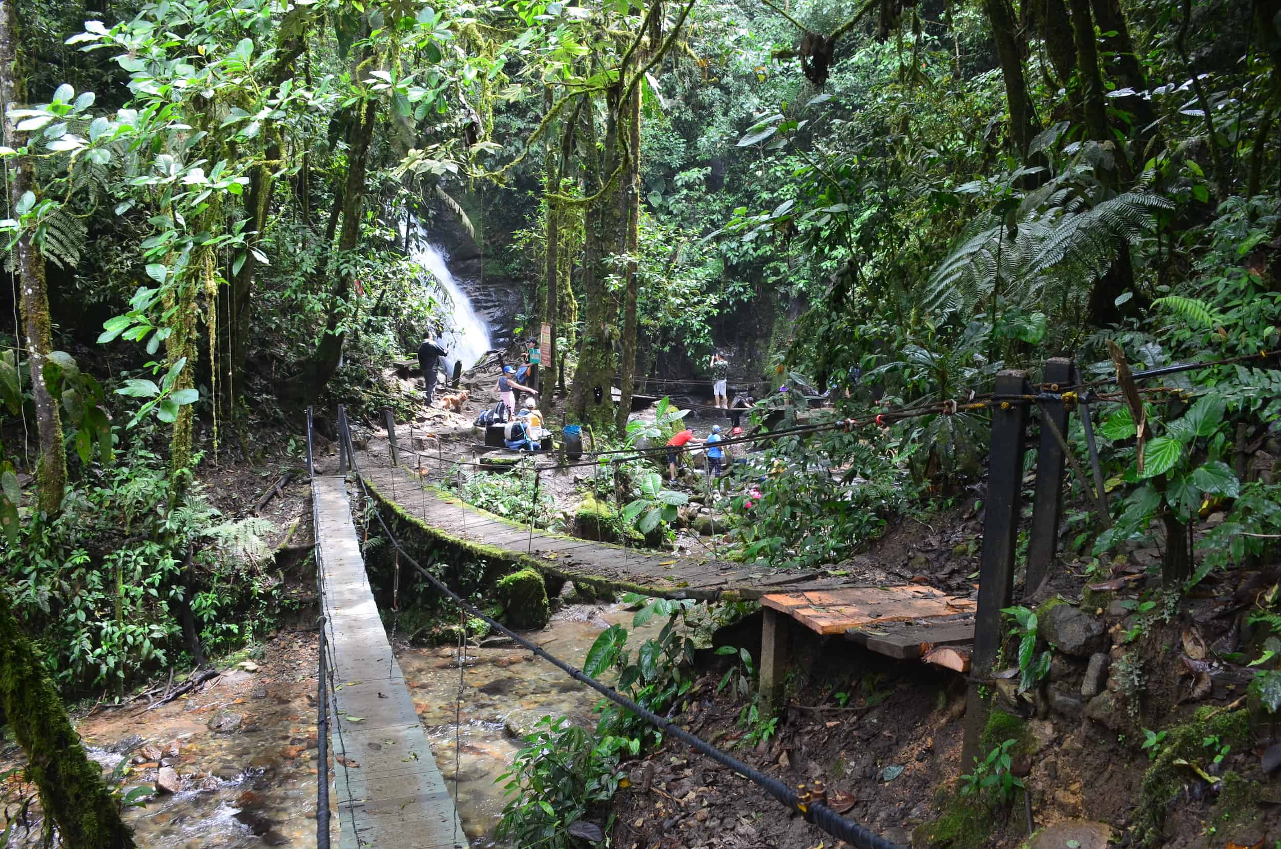 Bridges to the waterfall at Santa Rita Nature Reserve in Boquía, Salento, Quindío, Colombia