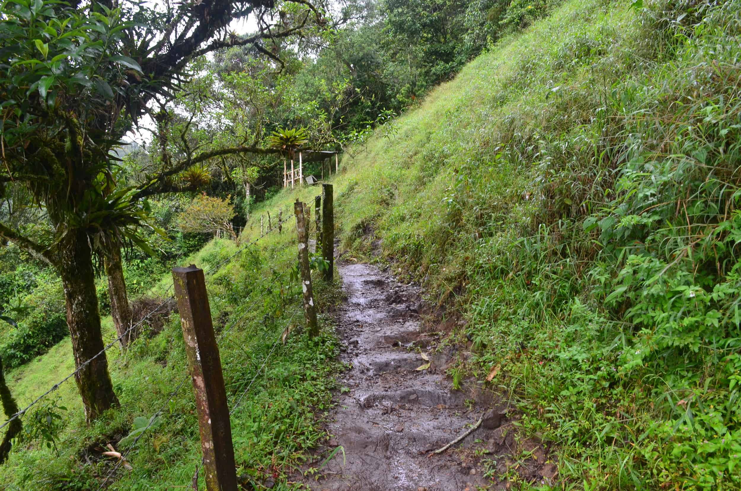 Leaving the Mirador at Santa Rita Nature Reserve in Boquía, Salento, Quindío, Colombia