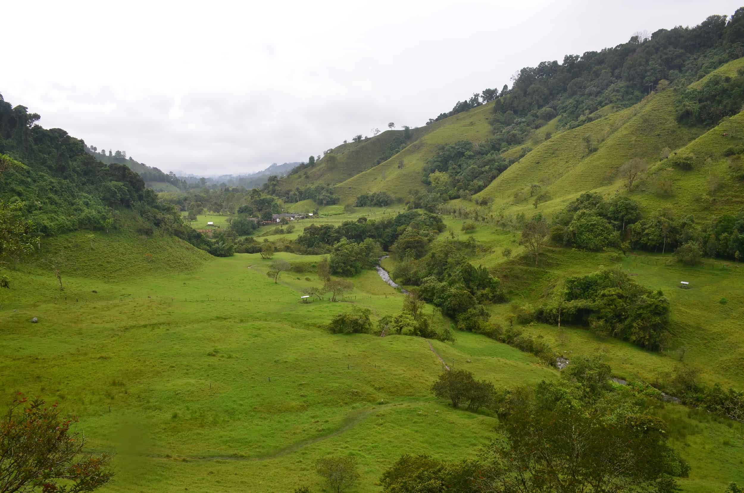 View from the Mirador at Santa Rita Nature Reserve in Boquía, Salento, Quindío, Colombia