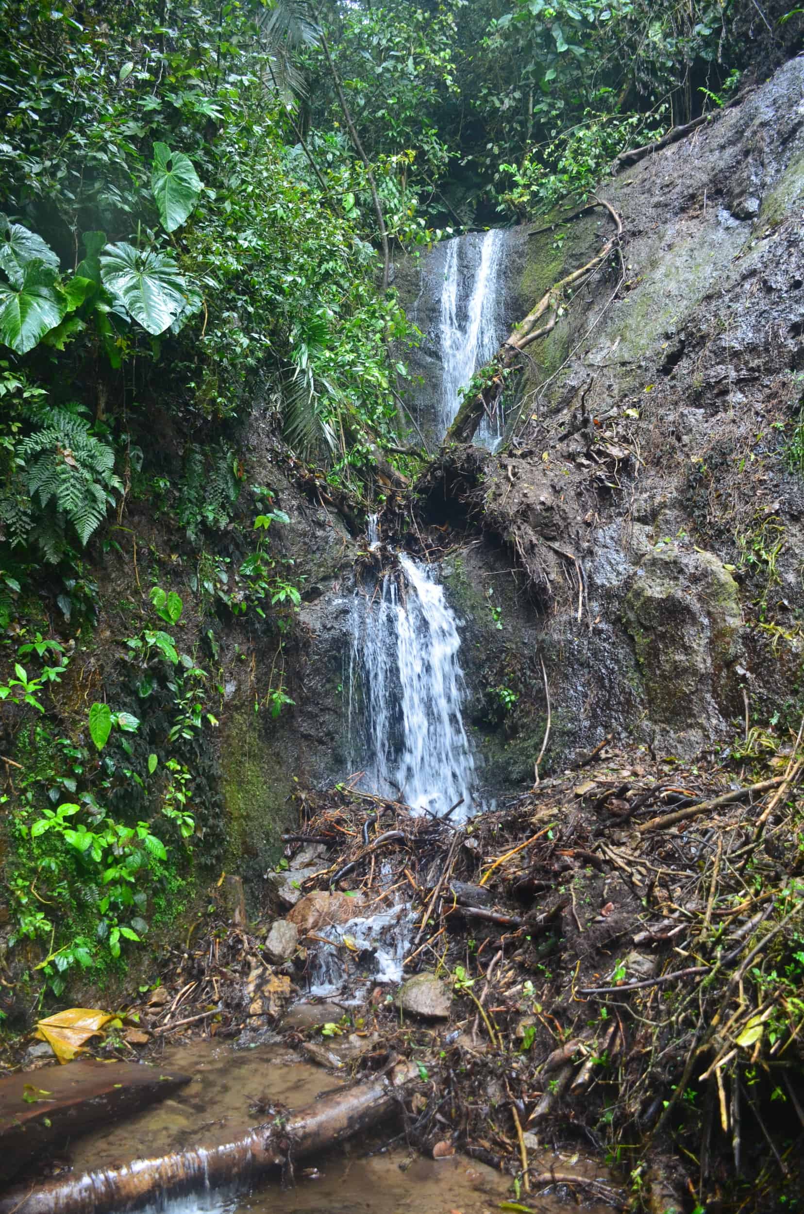 Barranquerro Waterfall at Santa Rita Nature Reserve in Boquía, Salento, Quindío, Colombia