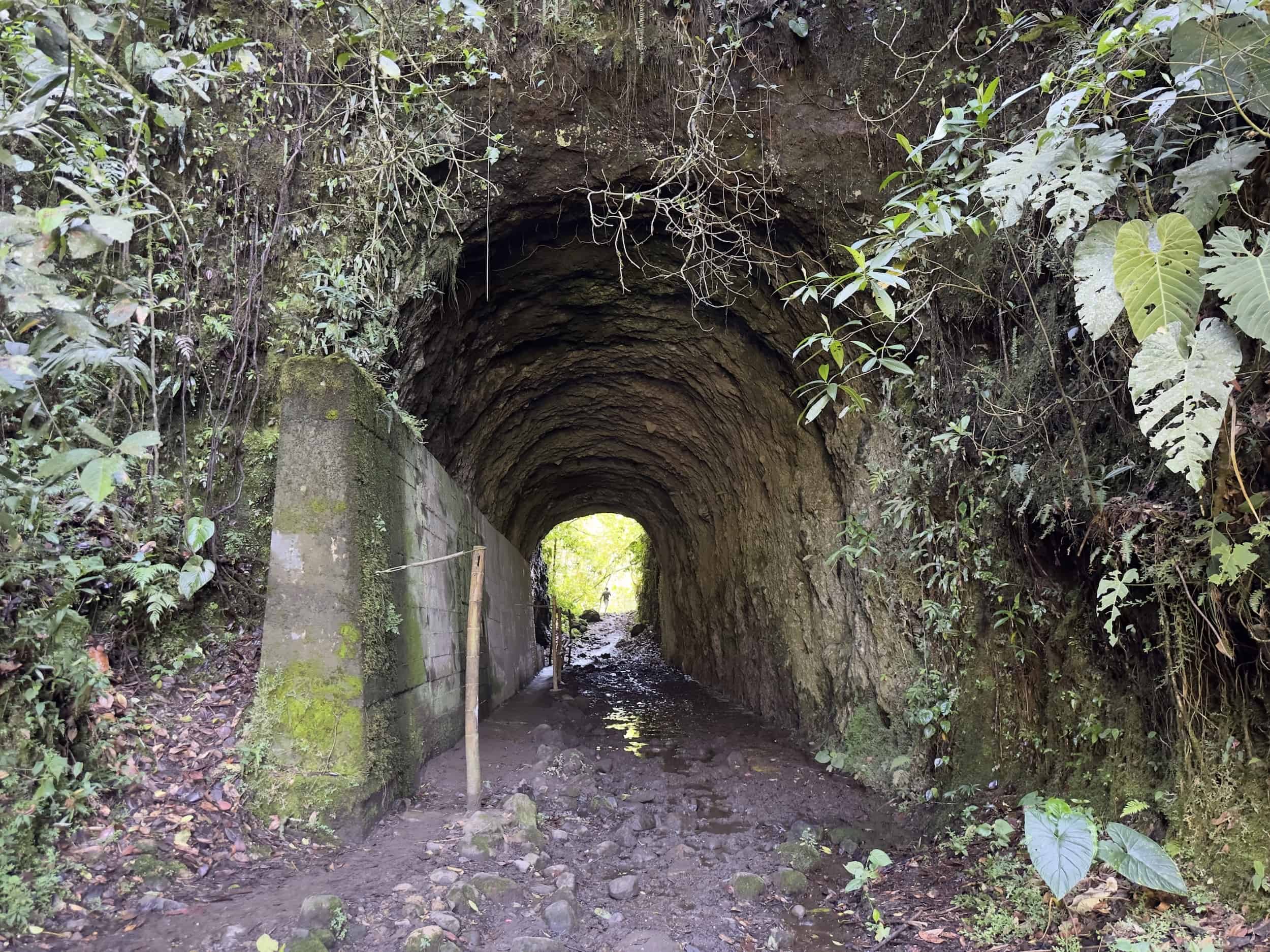 Tunnel at Santa Rita Nature Reserve in Boquía, Salento, Quindío, Colombia
