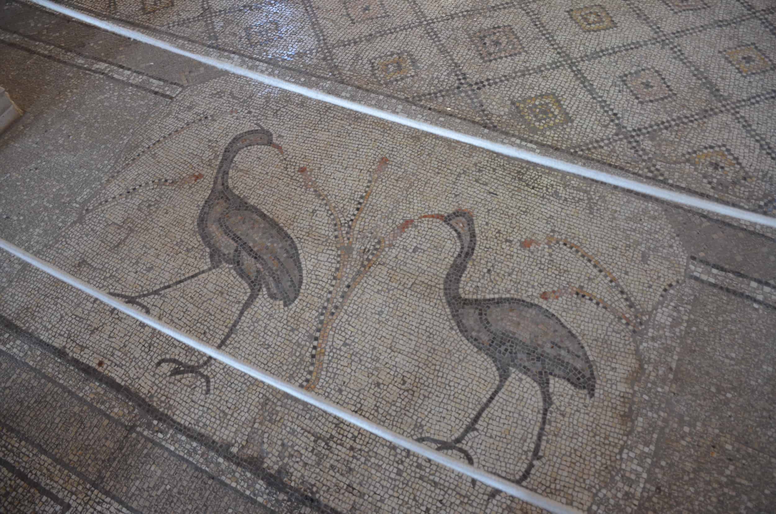 5th century mosaic floor at the Church of the Multiplication in Tabgha, Israel