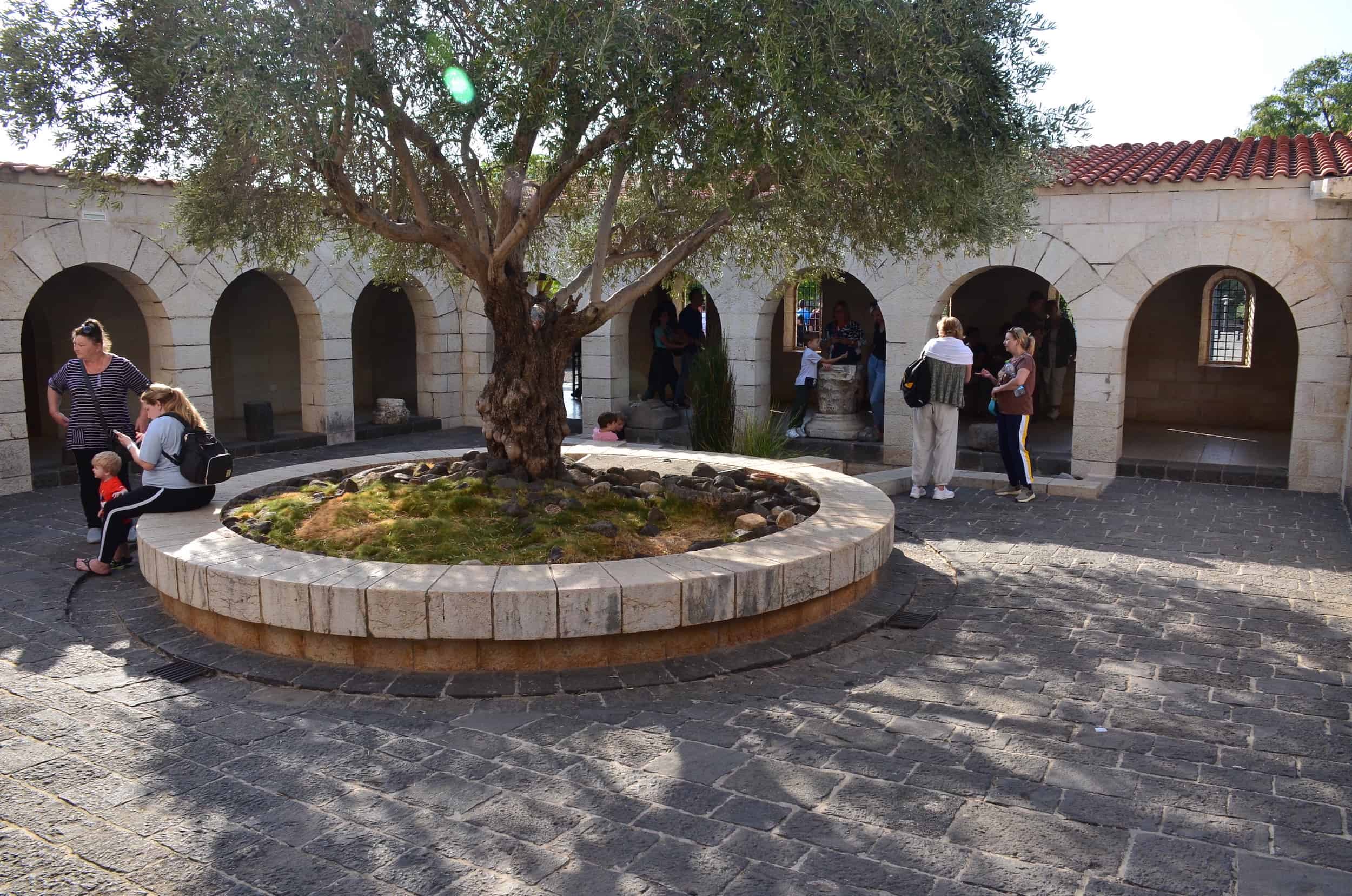 Courtyard at the Church of the Multiplication in Tabgha, Israel
