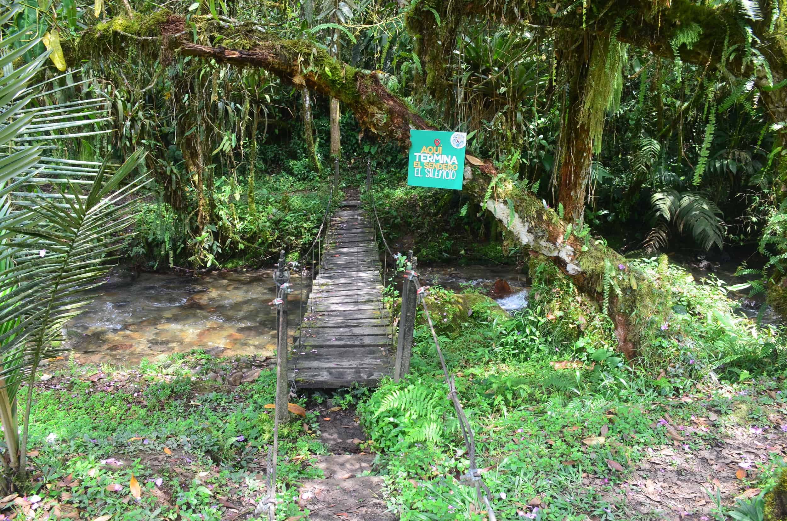 End of the El Silencio Trail at Santa Rita Nature Reserve in Boquía, Salento, Quindío, Colombia