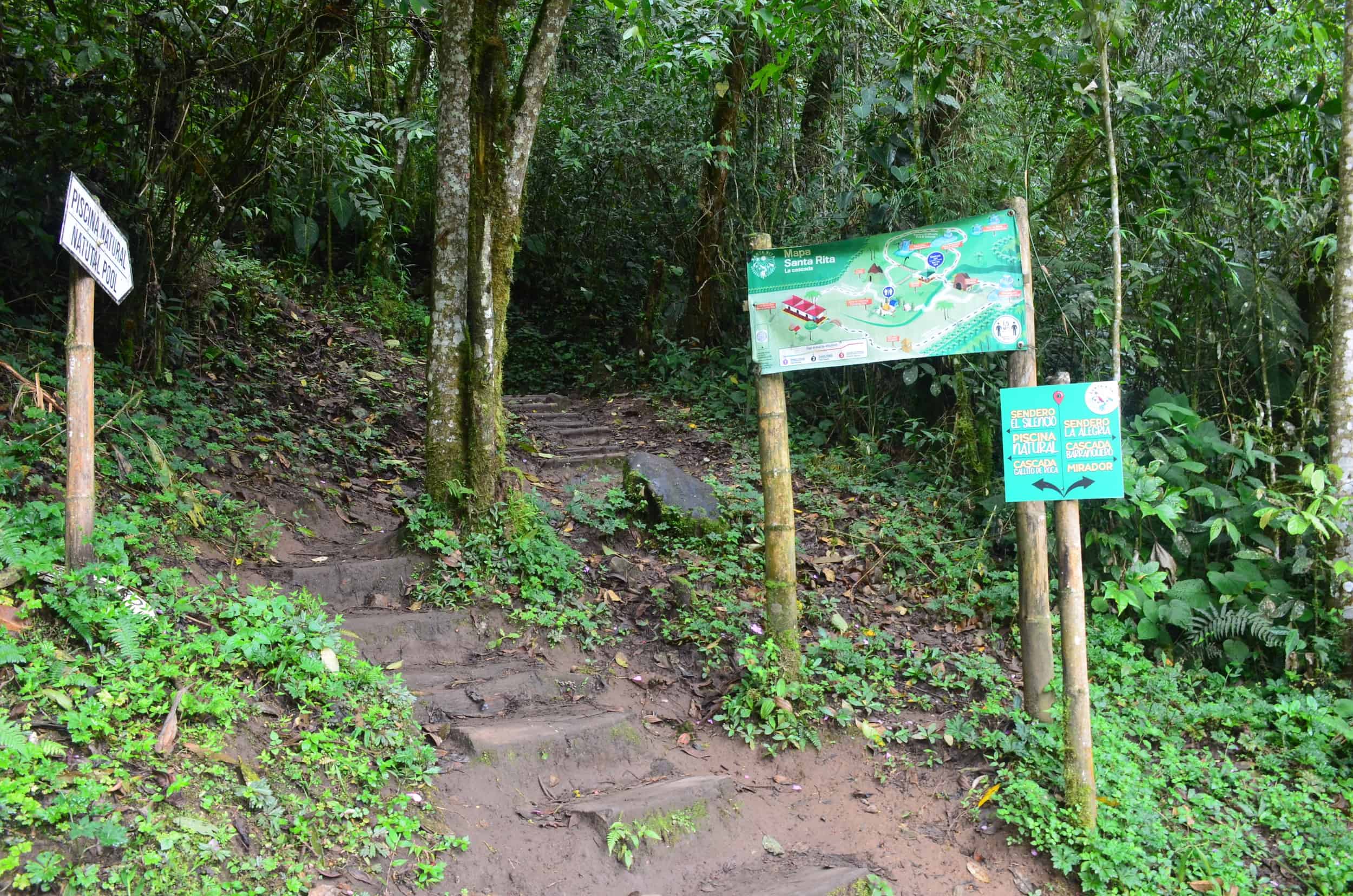 Fork in the trail at Santa Rita Nature Reserve in Boquía, Salento, Quindío, Colombia