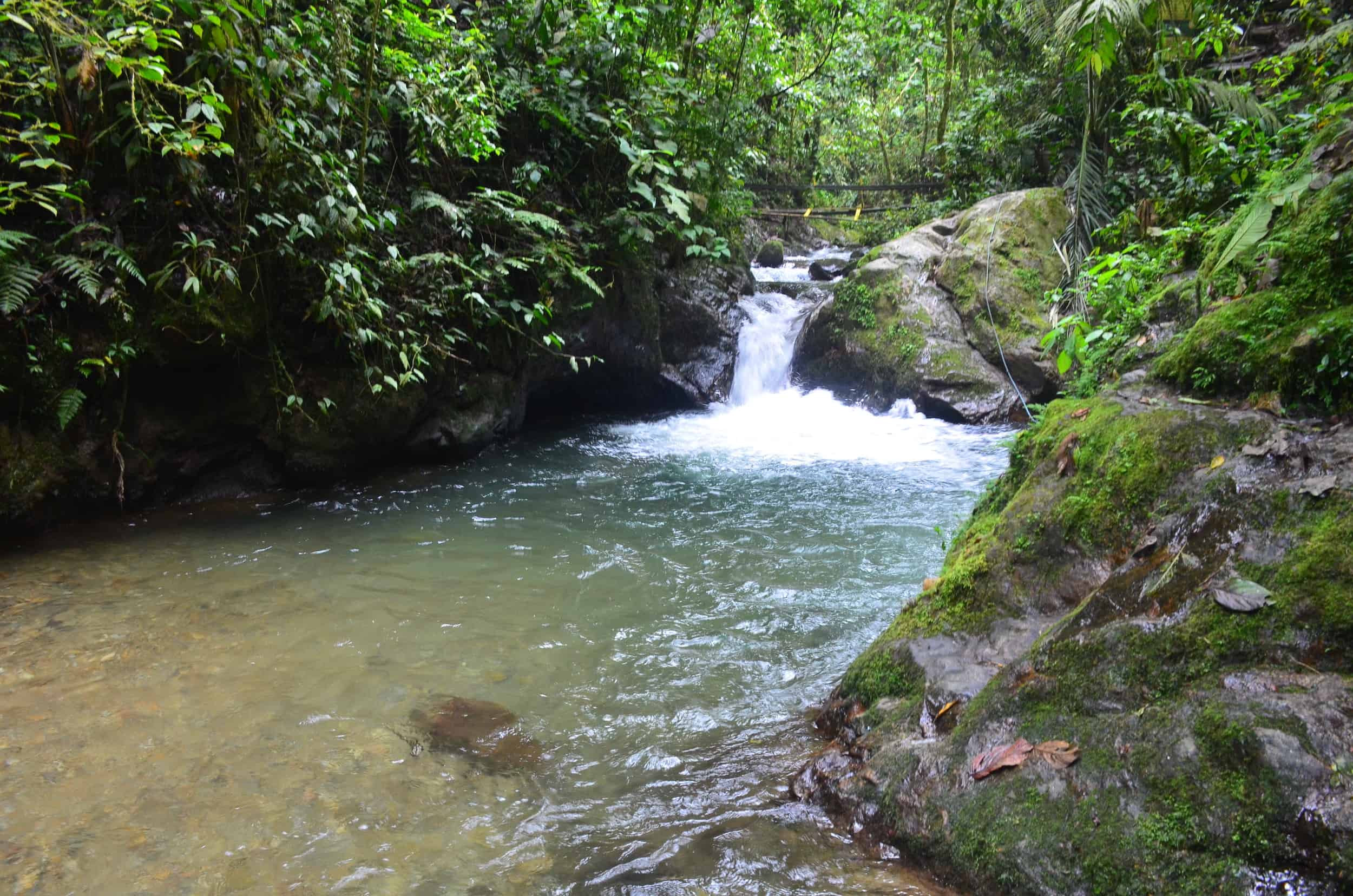 Swimming hole at Santa Rita Nature Reserve in Boquía, Salento, Quindío, Colombia