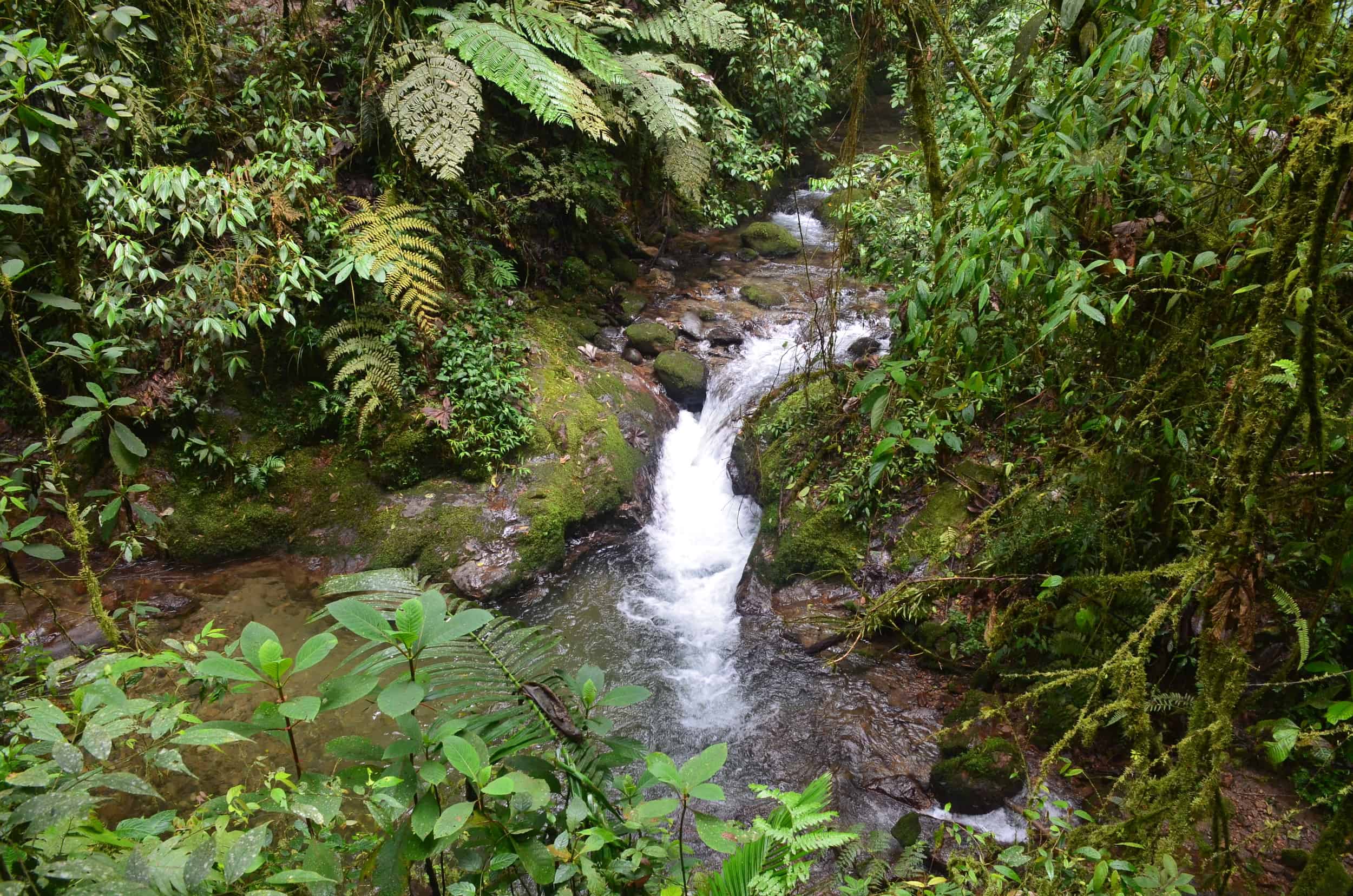 Small cascade at Santa Rita Nature Reserve in Boquía, Salento, Quindío, Colombia