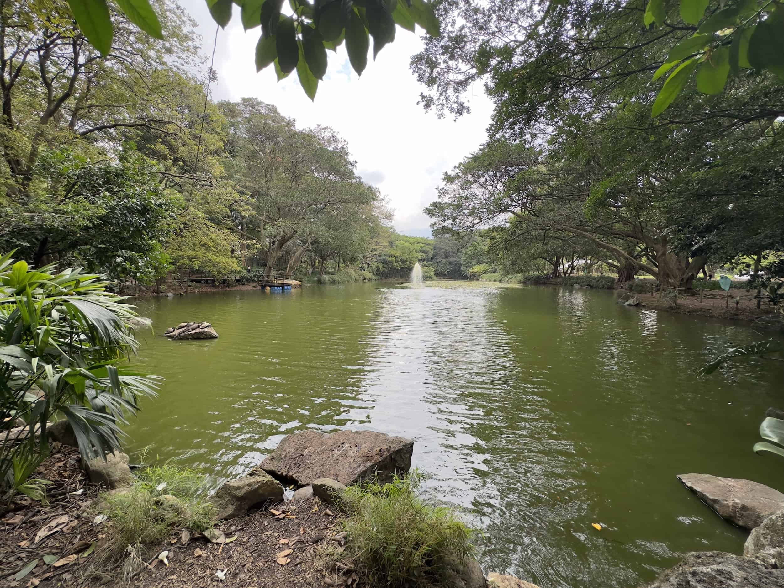 Lagoon at the Medellín Botanical Garden in Medellín, Antioquia, Colombia