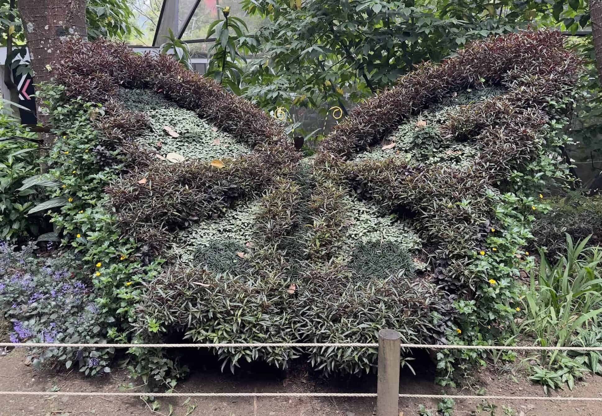 Butterfly made of plants and flowers