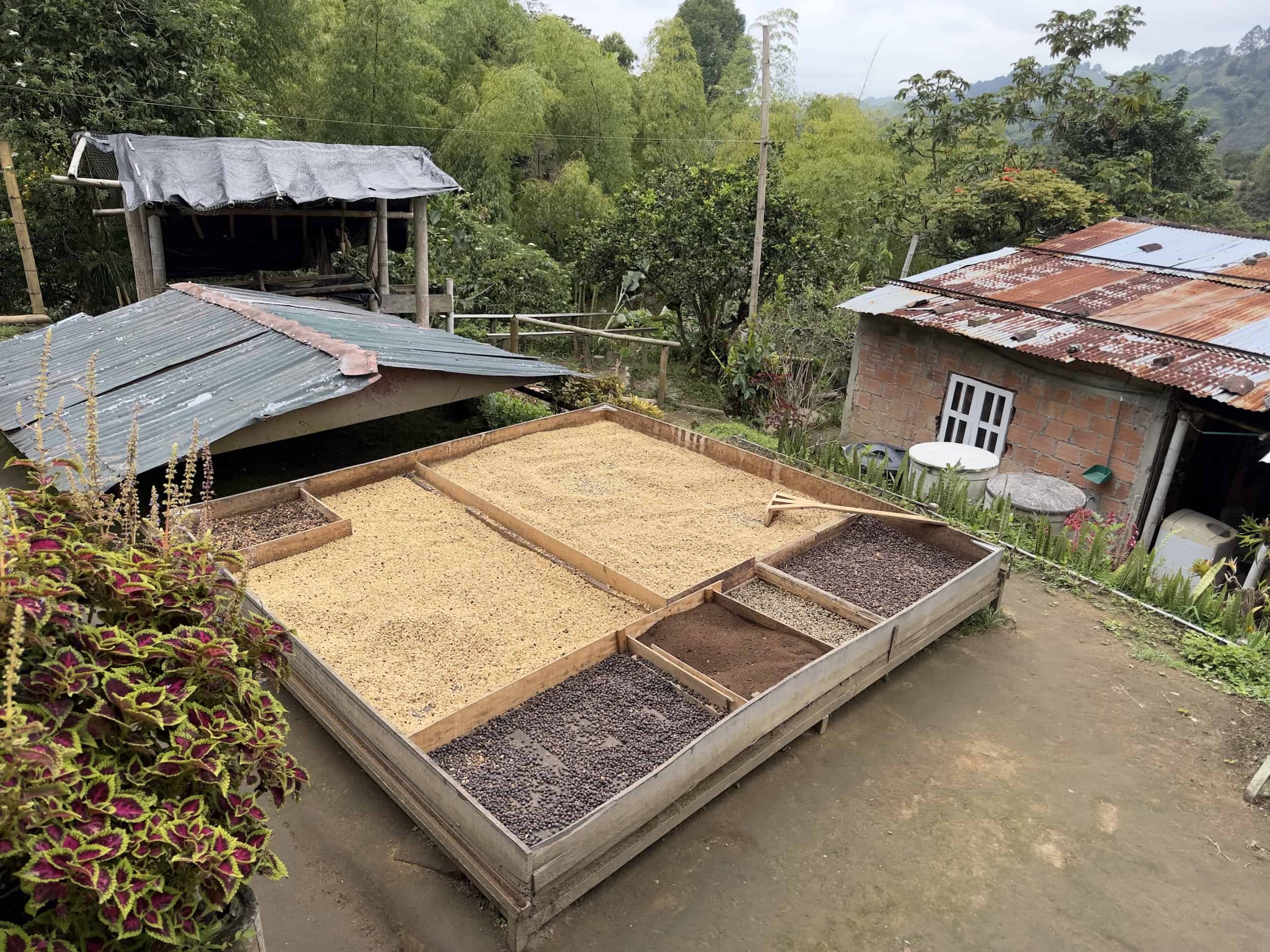 Drying station on the Luger Coffee Tour in Salento, Quindío, Colombia