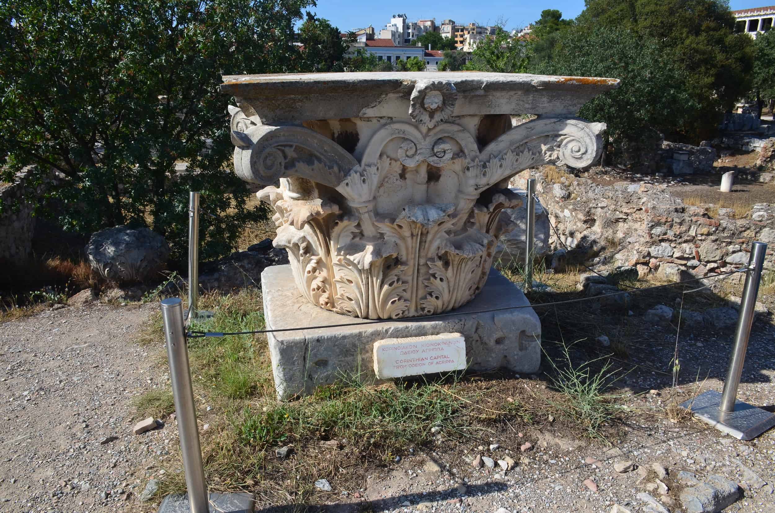 Corinthian capital from Odeion of Agrippa