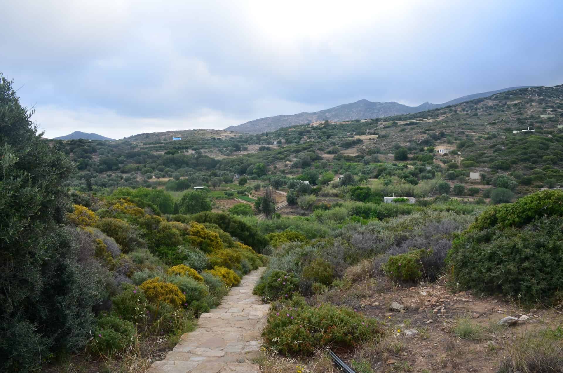 View along the path to the Kouros of Farangi