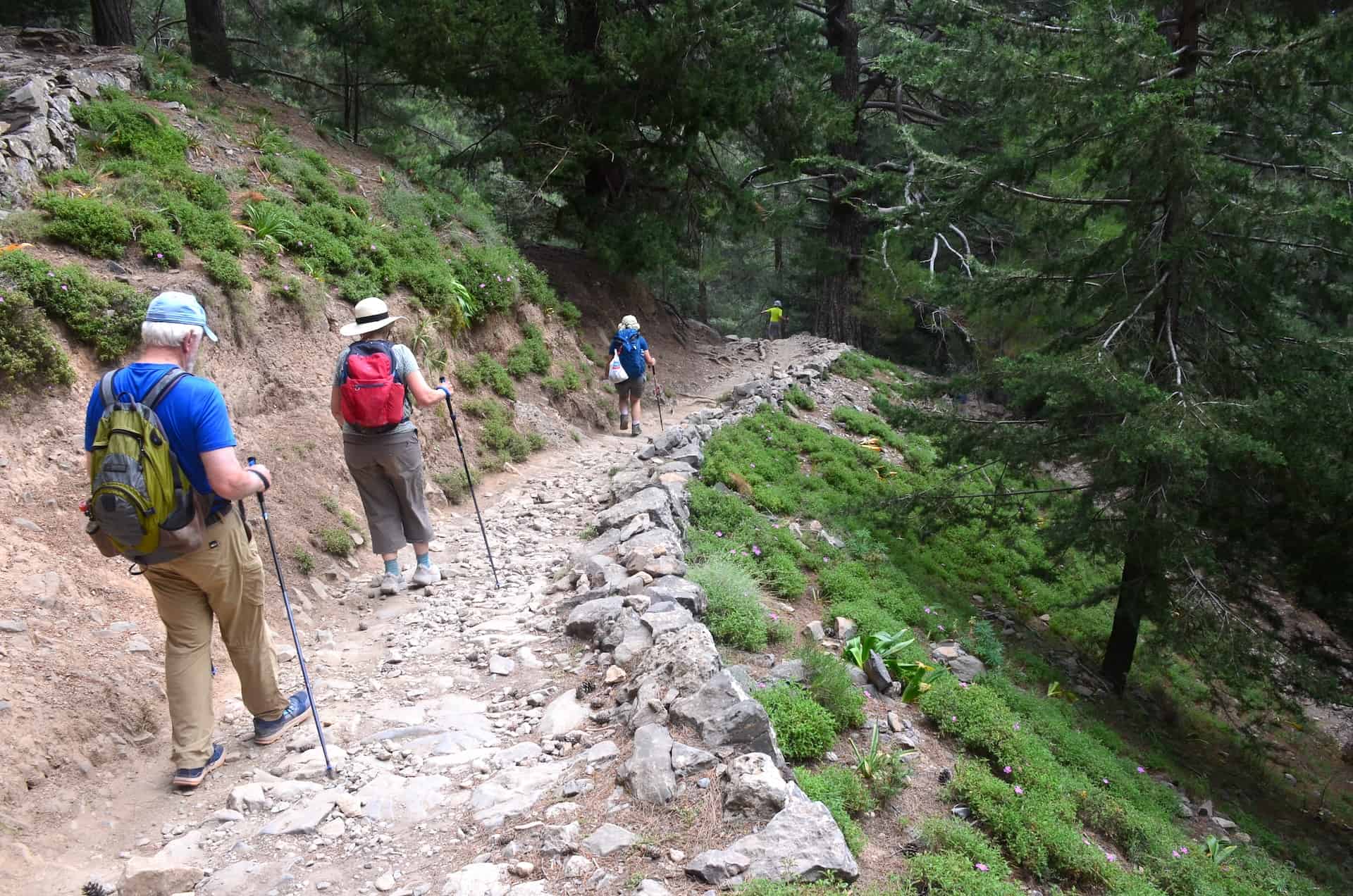 The trail from Neroutsiko to Riza Sykias at the Samaria Gorge in Crete, Greece