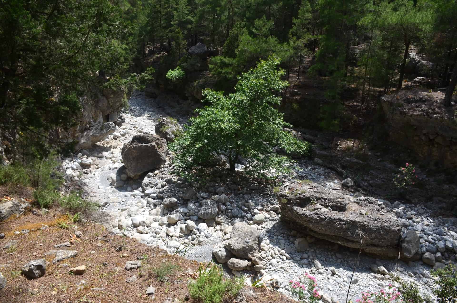 Riverbed on the trail from Samaria to Nero tis Perdikas at the Samaria Gorge in Crete, Greece