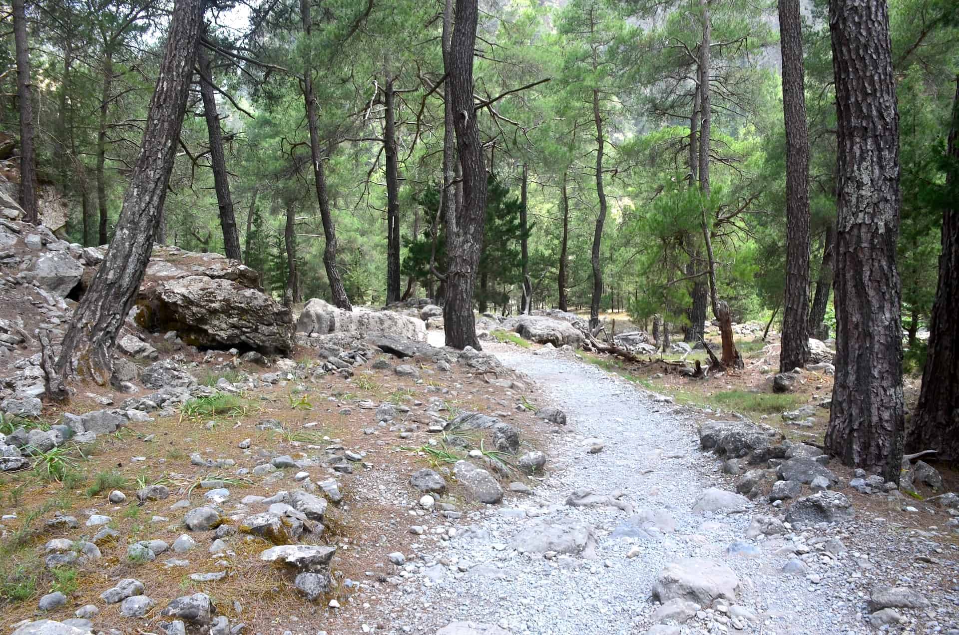 Walking through the forest on the trail from Samaria to Nero tis Perdikas