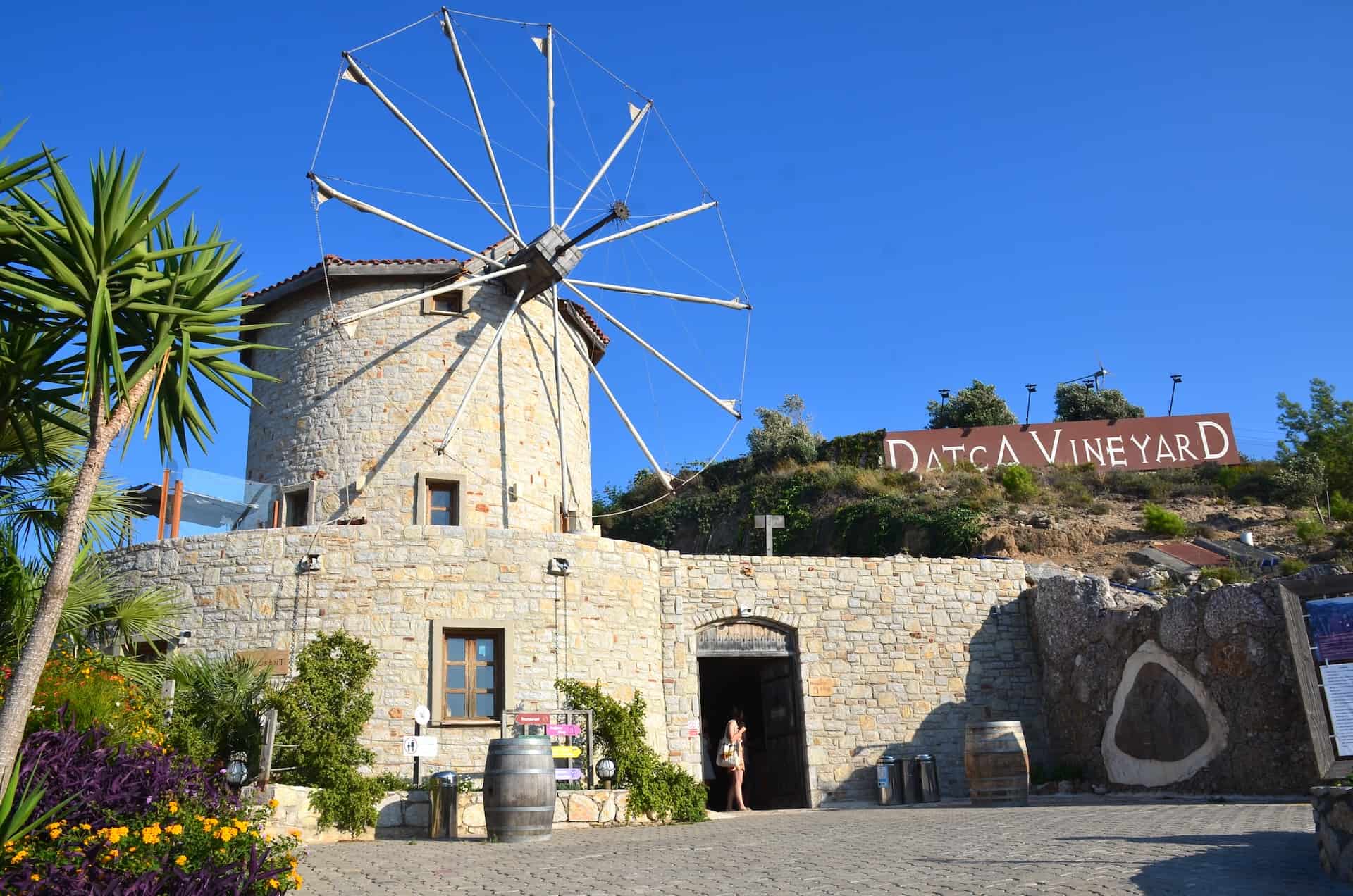 Datça Vineyard on the Datça Peninsula in Turkey