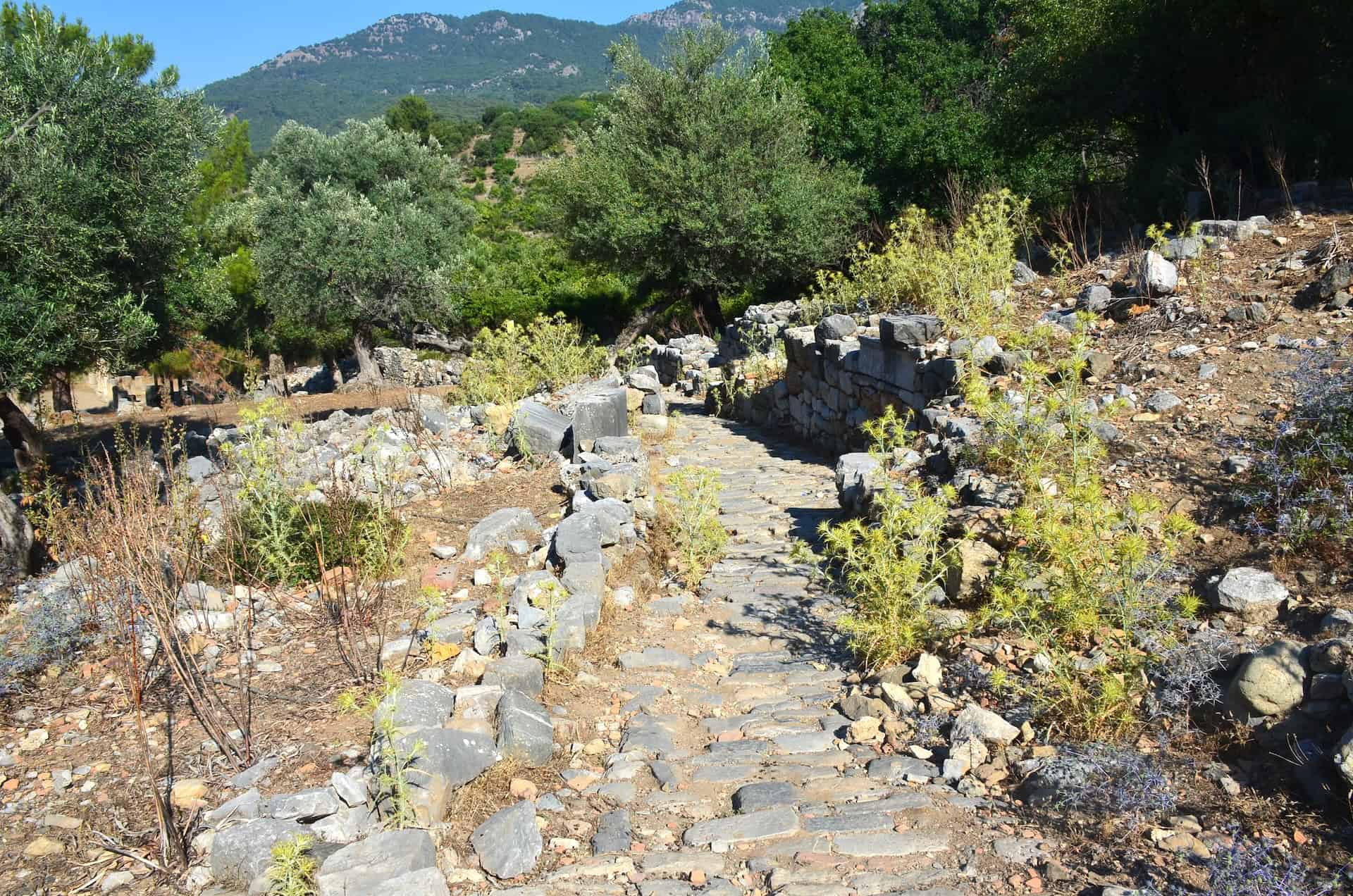 Path to the Temple Terrace