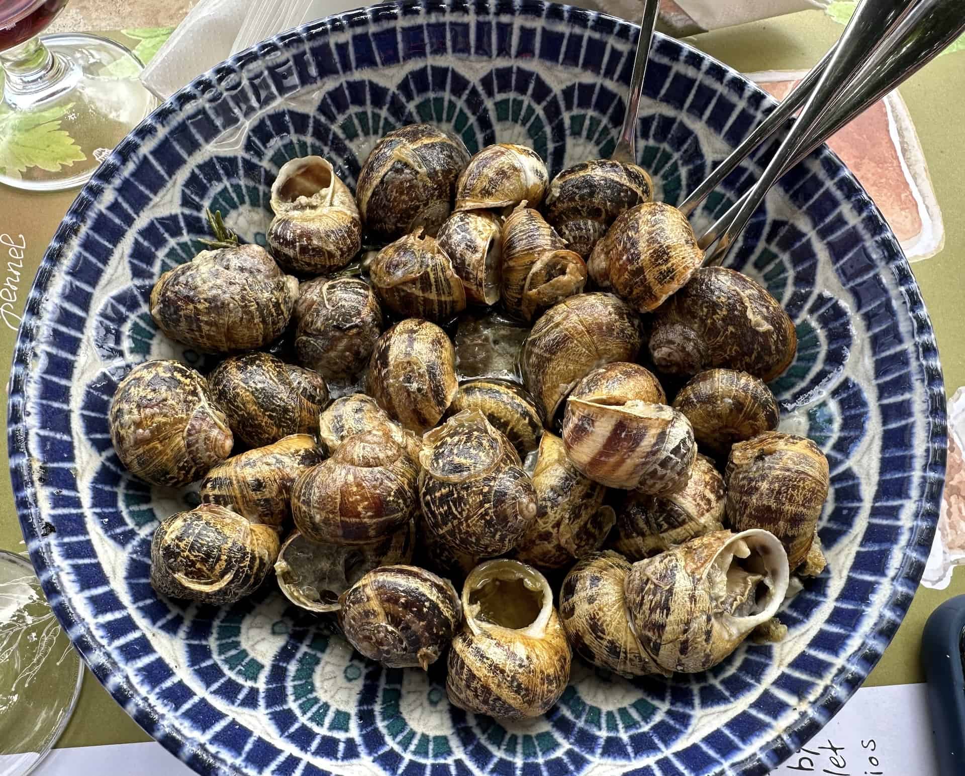 Cretan snails at Earino in Kato Asites, Crete, Greece
