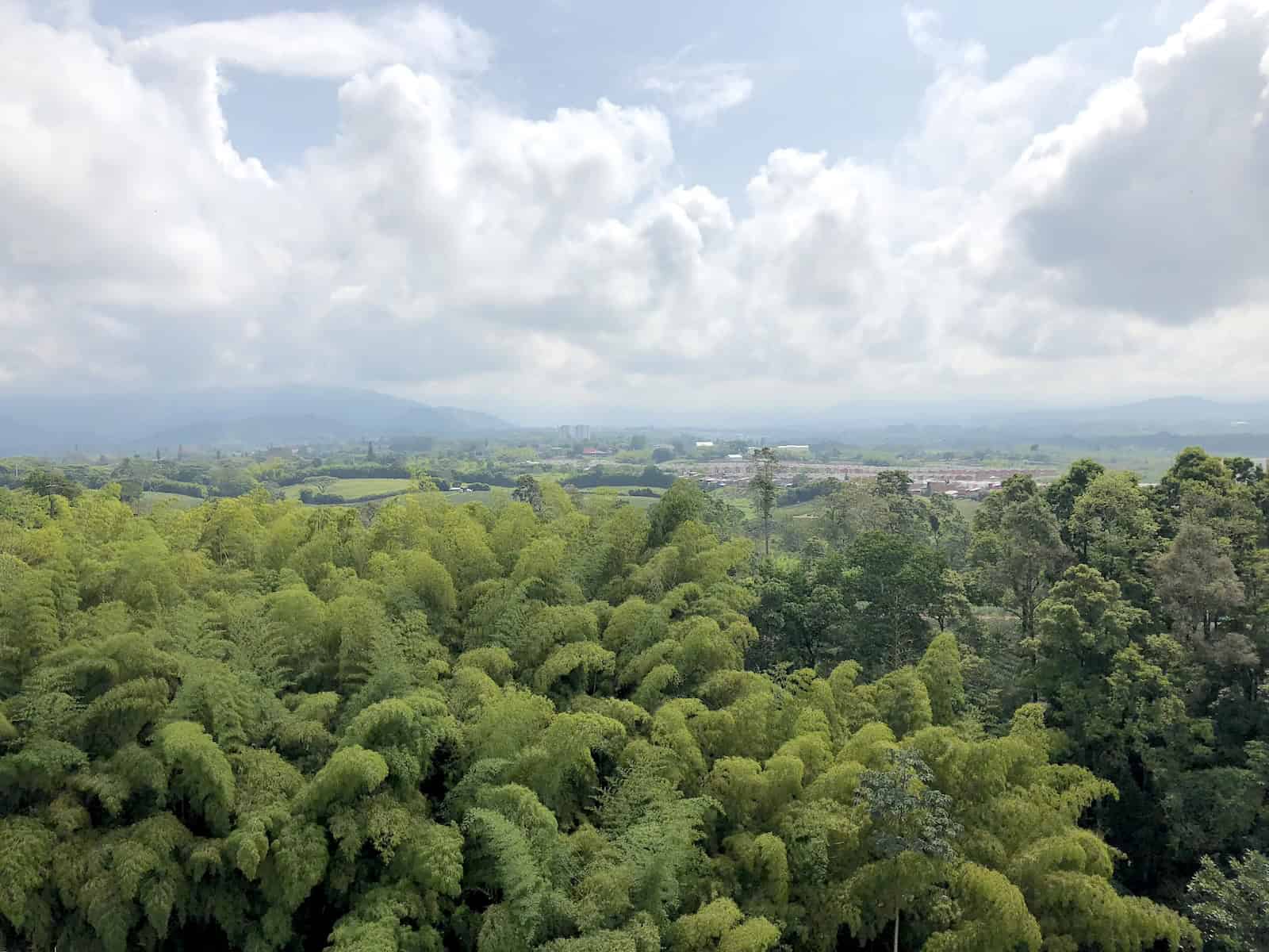 View from the 7th floor at Sonesta Hotel Pereira, Colombia