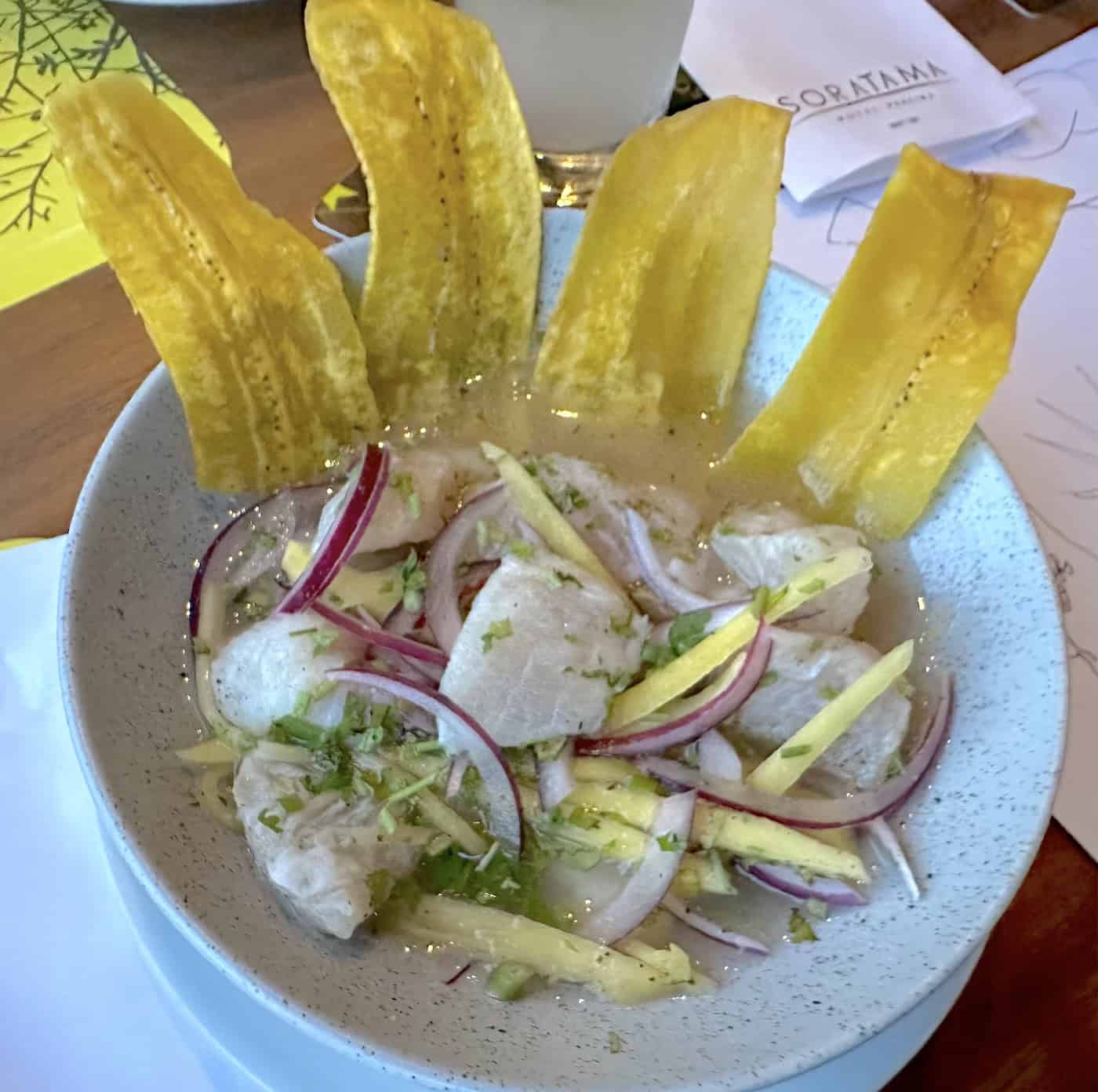 Ceviche at SkyLounge in Pereira, Risaralda, Colombia