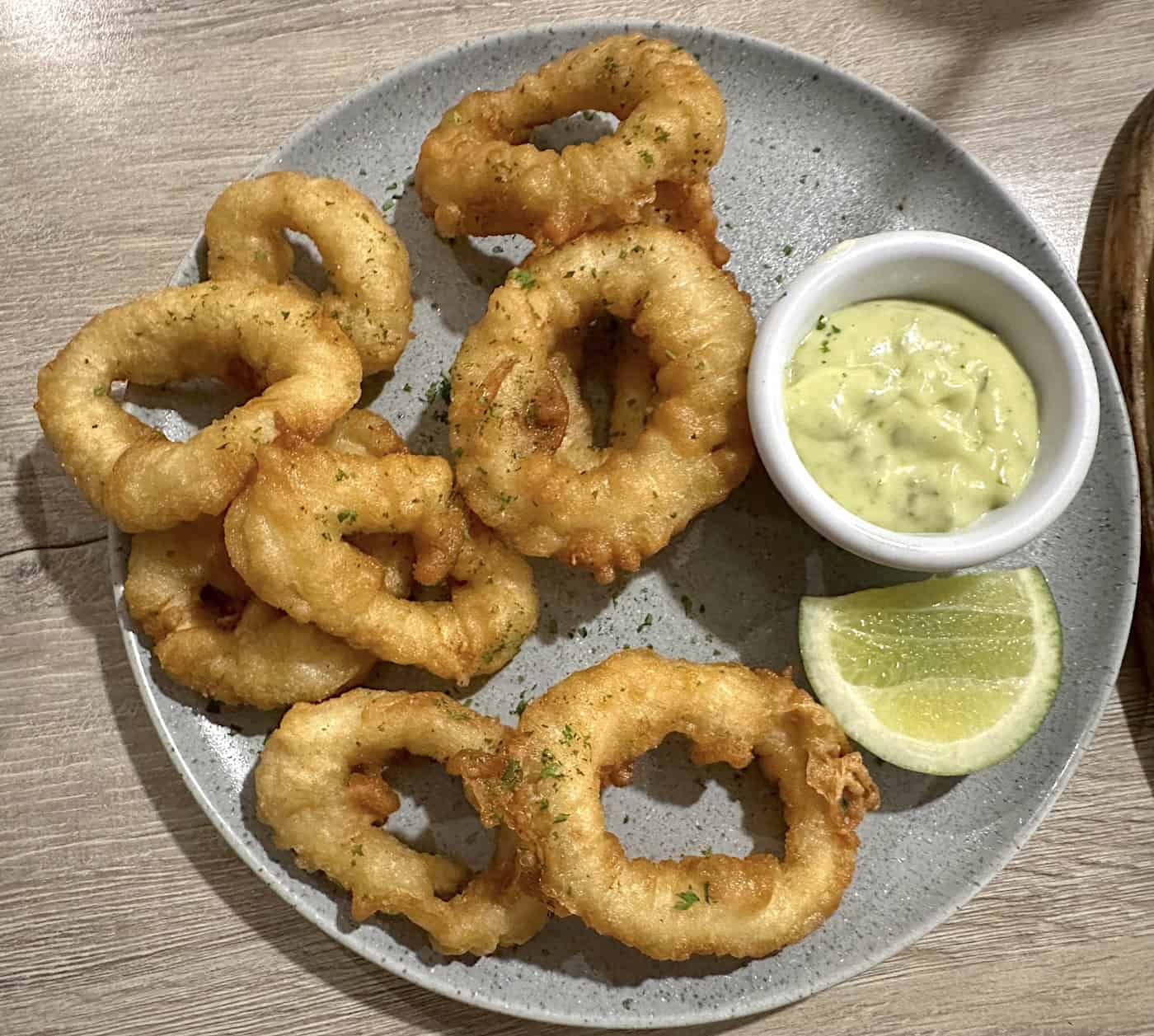 Fried calamari at El Mesón Español in Pereira, Risaralda, Colombia