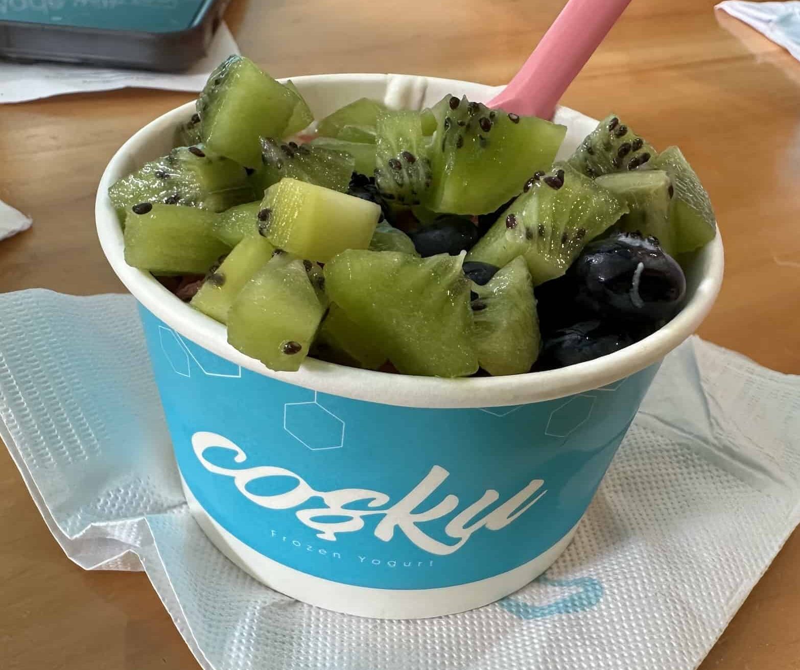 Frozen yogurt at Cosku
