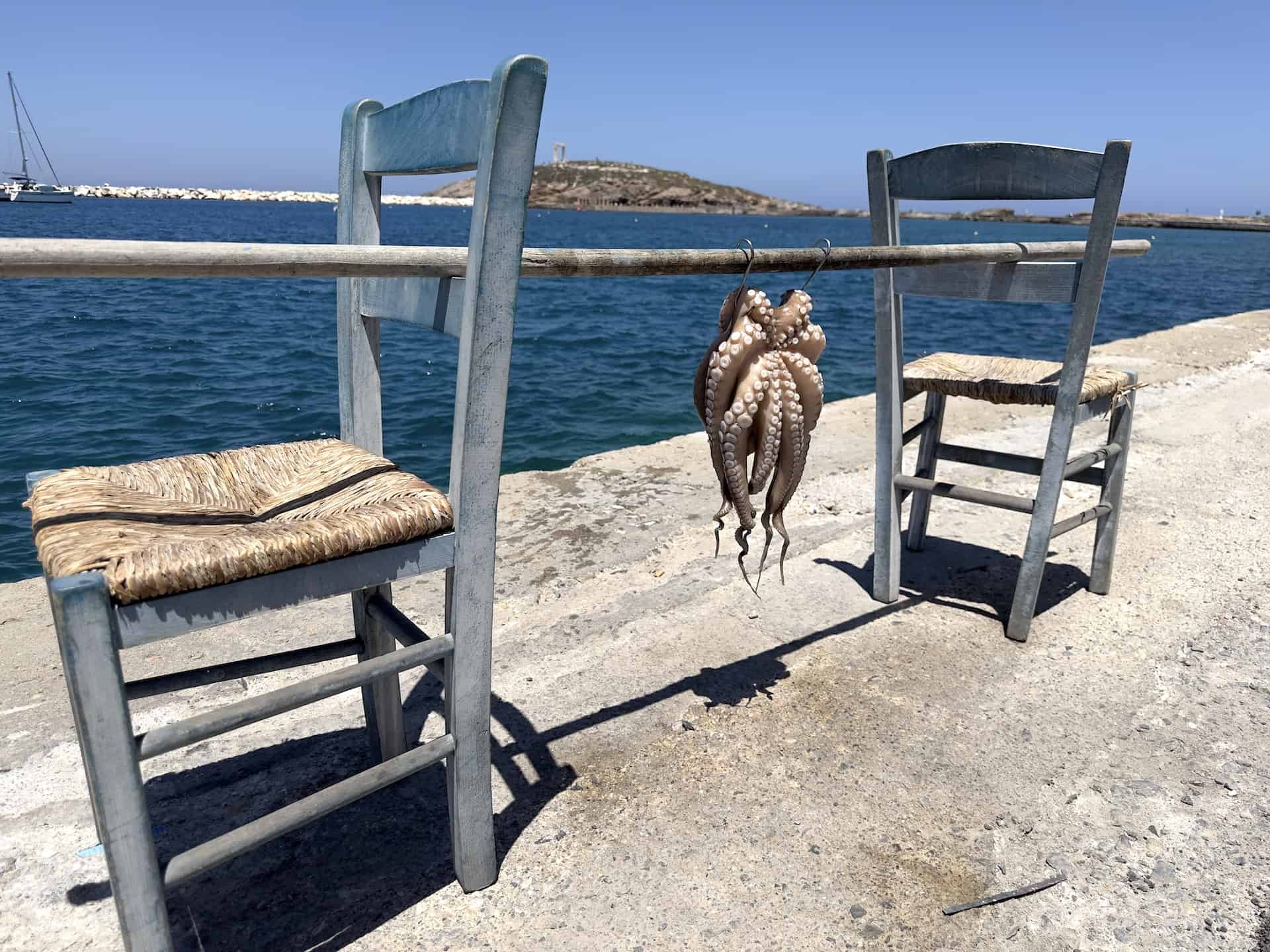 Octopus in Naxos, Greece