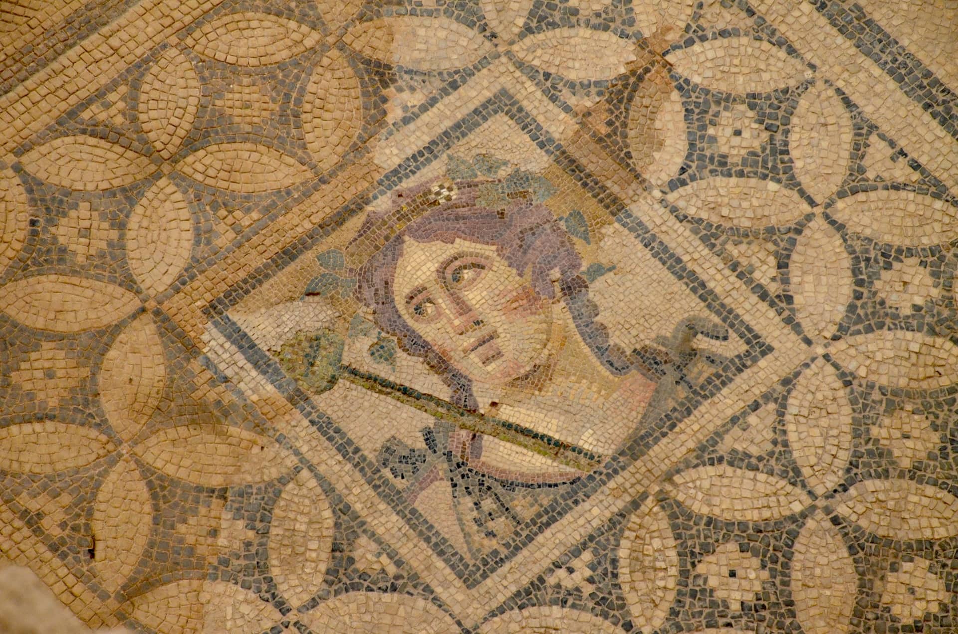 Mosaic of Dionysus in Room 16a in Dwelling Unit 3