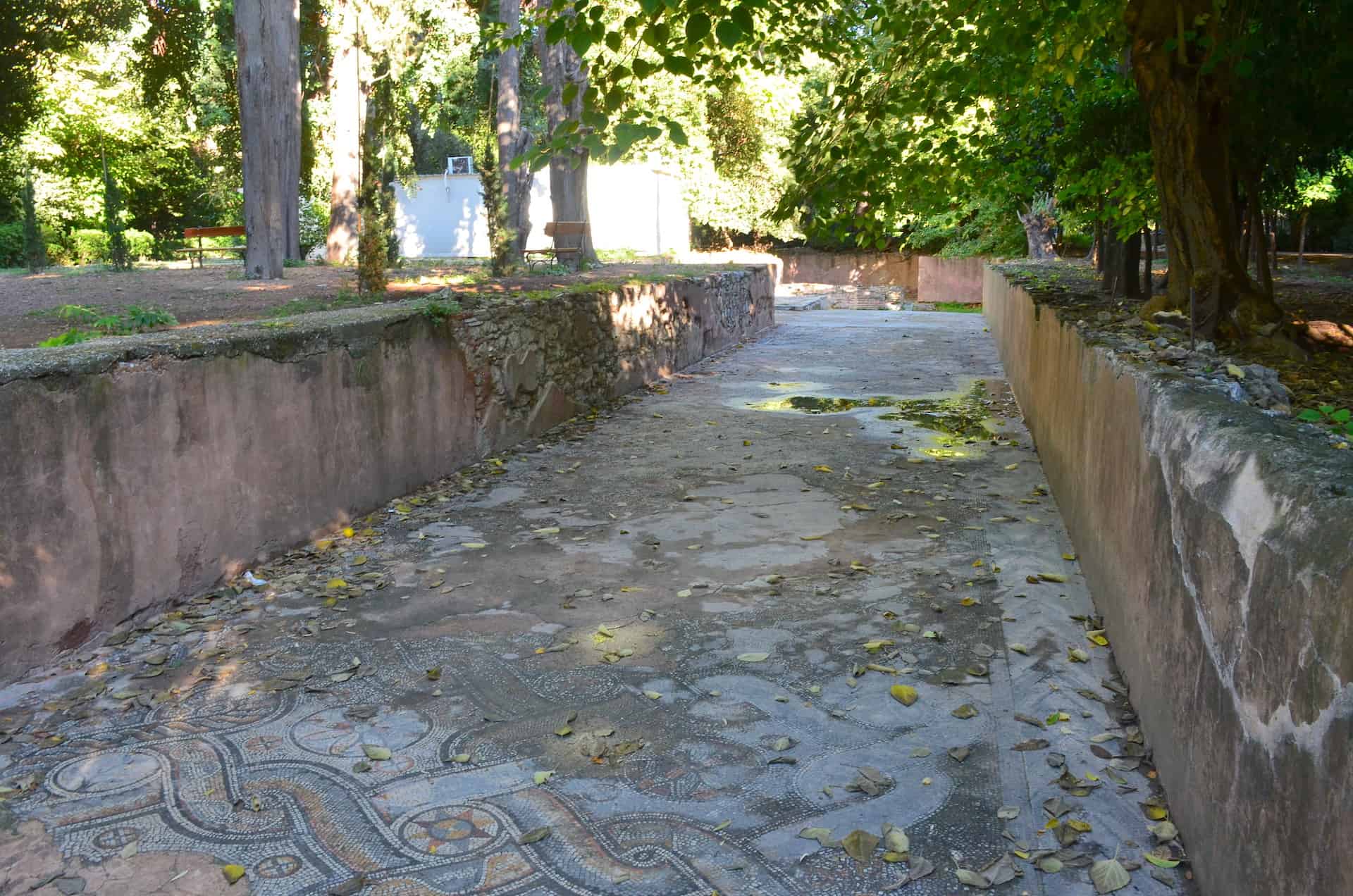 Path to the Roman mosaic