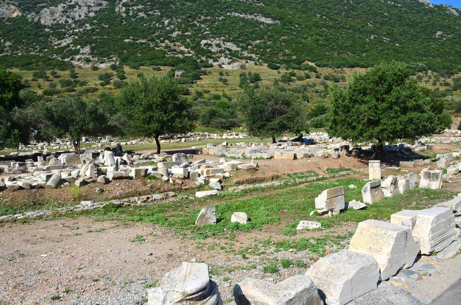 State Agora at Ephesus