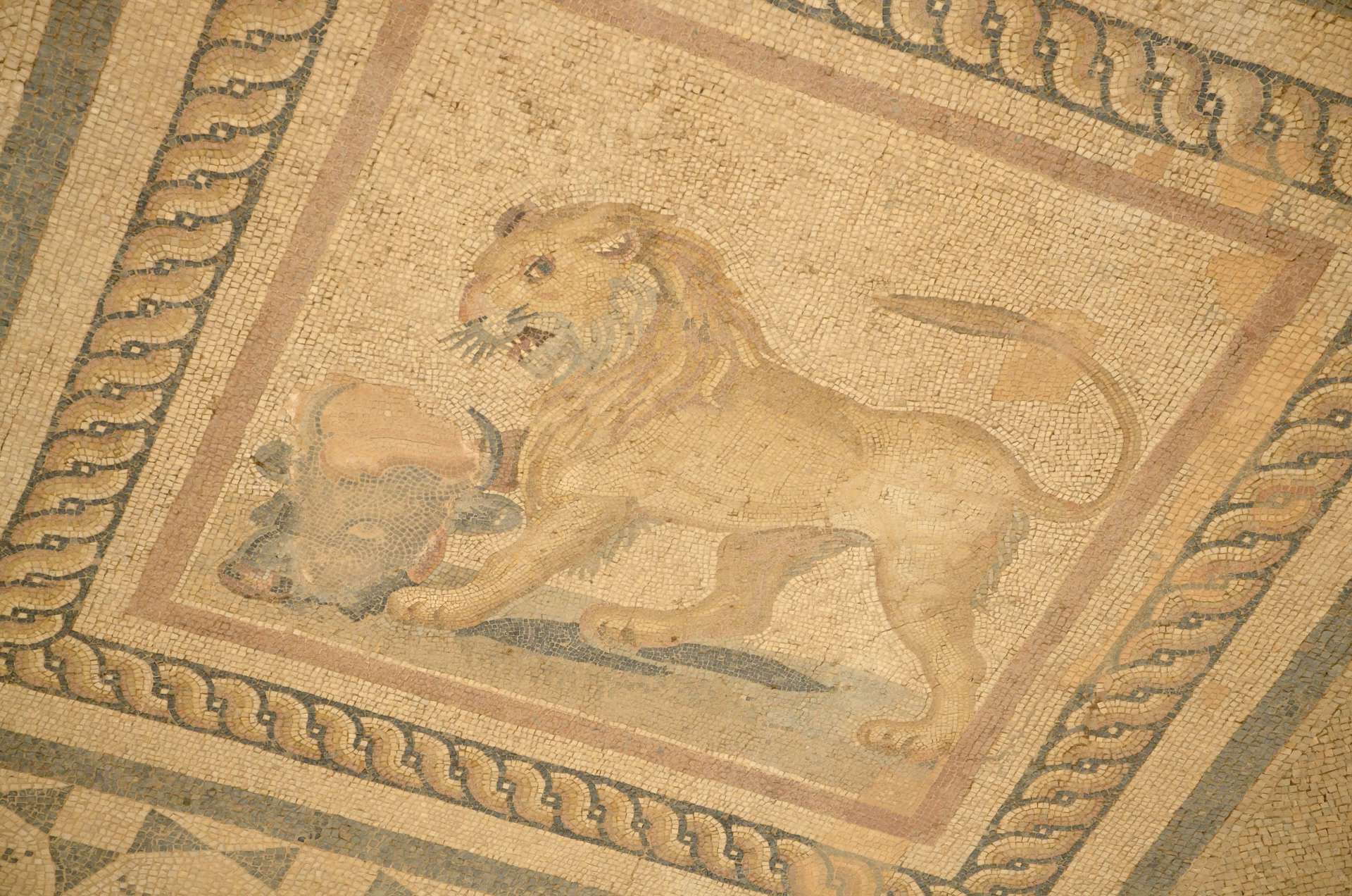 Mosaic of a lion in Room 17 in Dwelling Unit 3