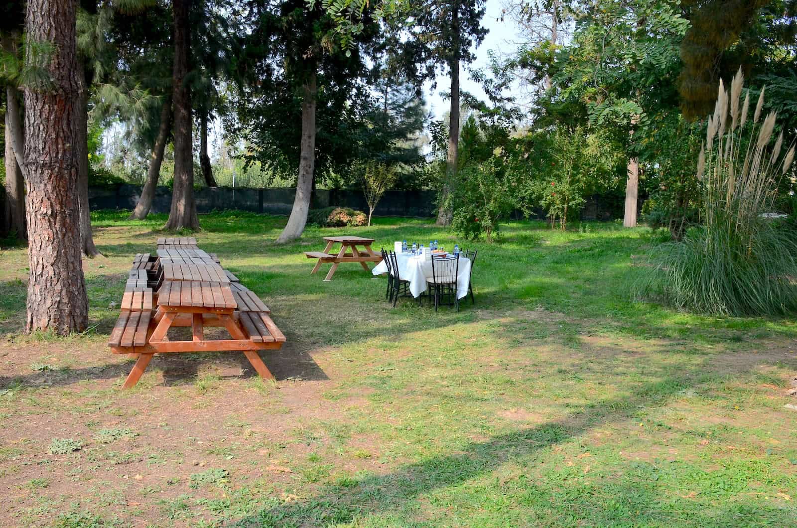 Garden at Aladdin's Rug Warehouse in Selçuk, Turkey