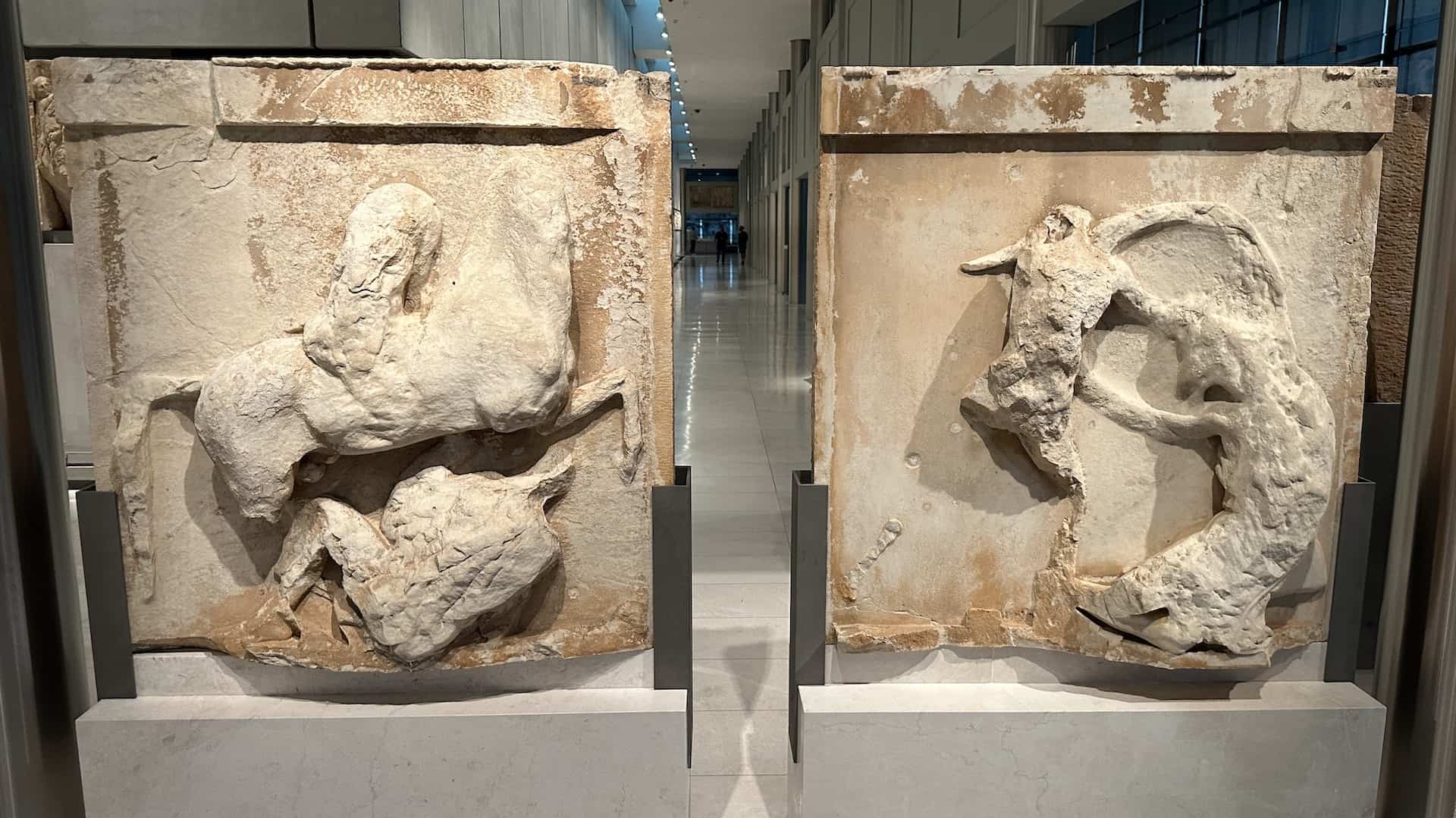 W 13 and W 14 on the west metopes of the Parthenon