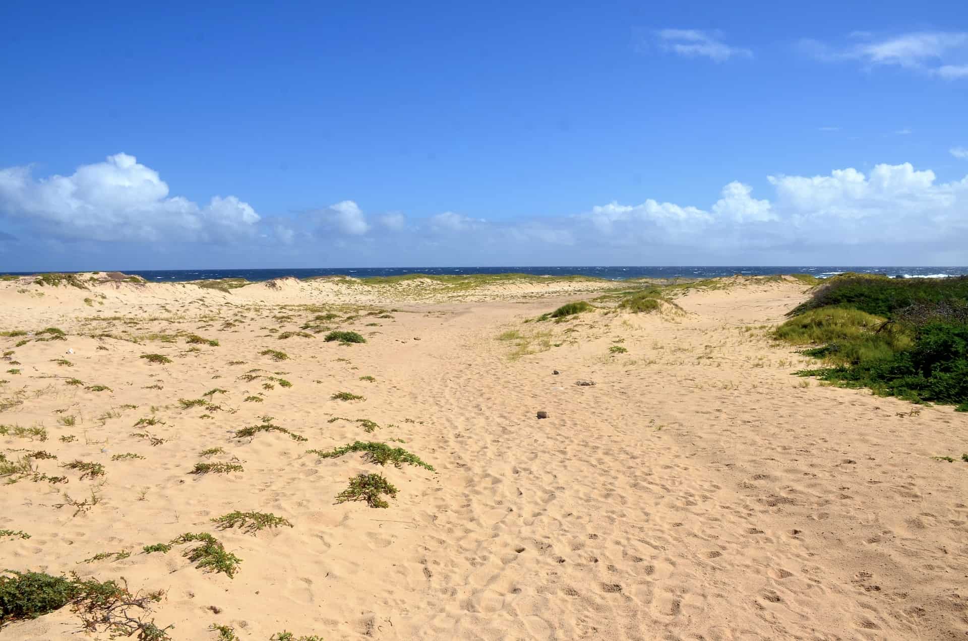 Sasarawichi Dunes in Noord, Aruba