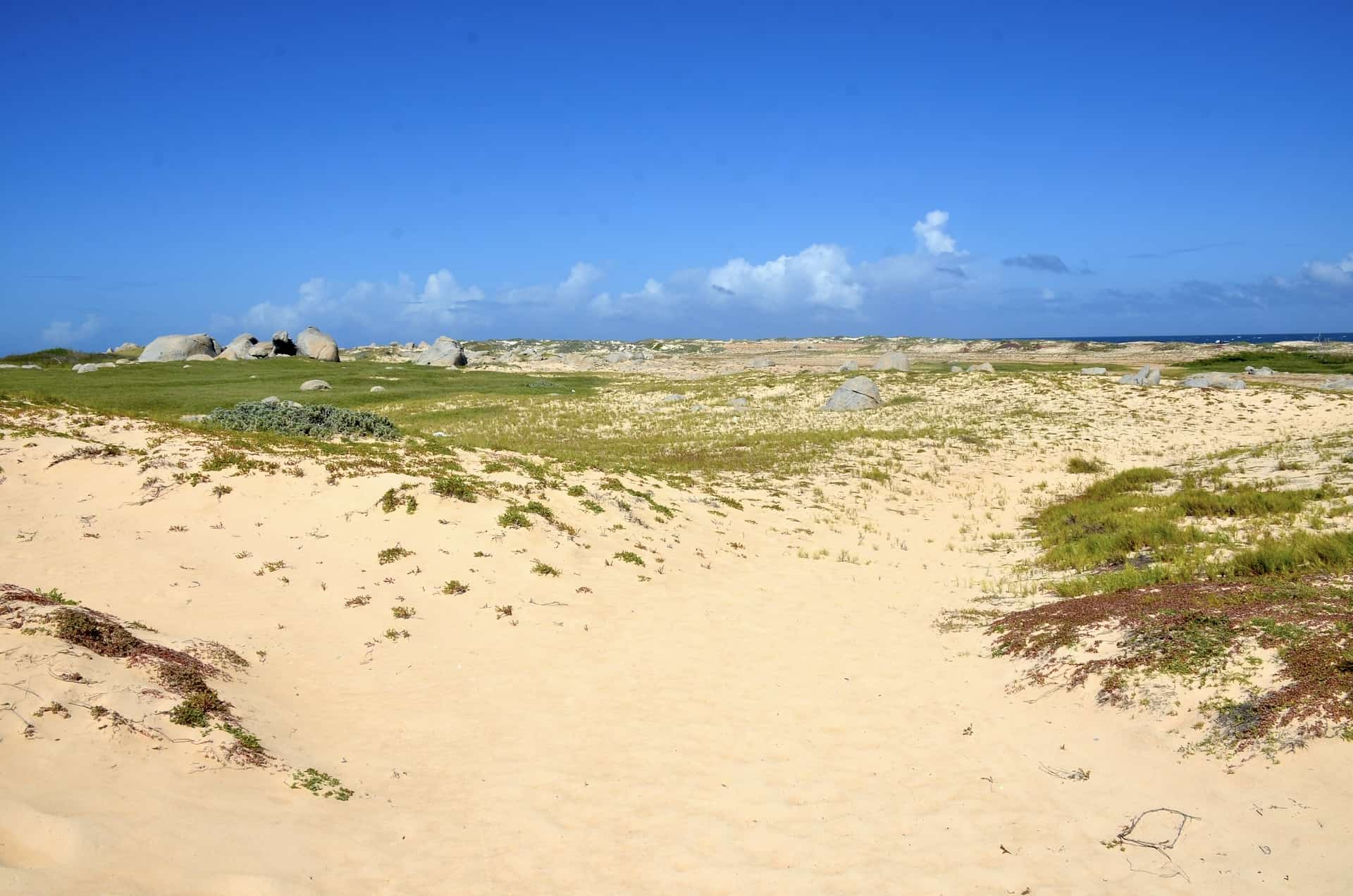 Sasarawichi Dunes in Noord, Aruba