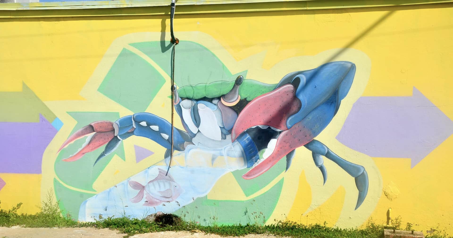 Crab mural