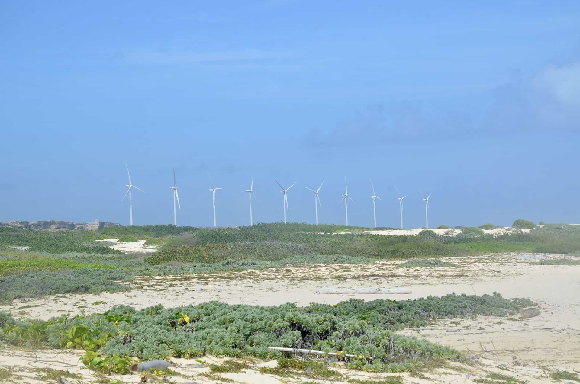 Wind farm from Boca Grandi