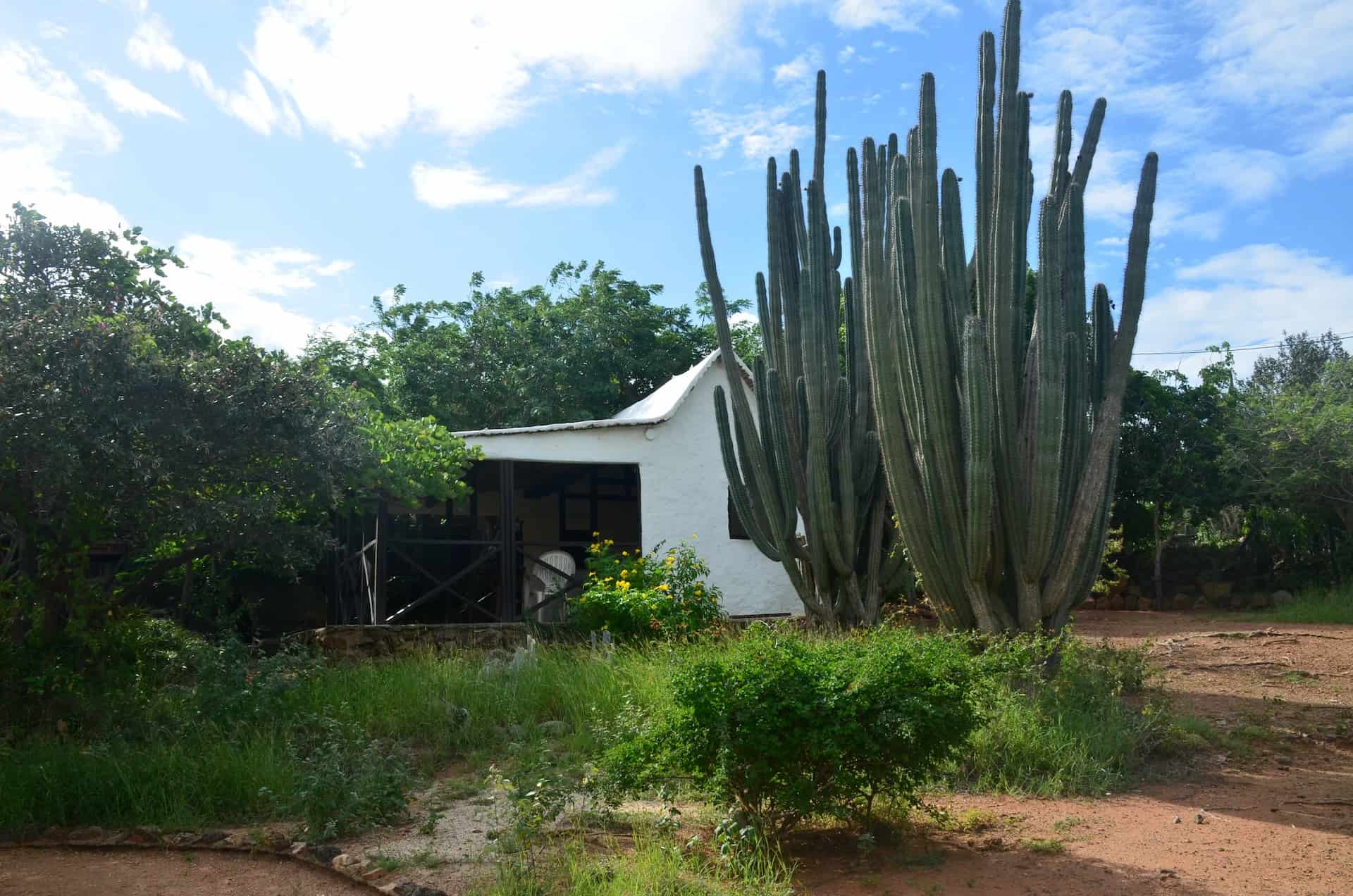 Adobe house along Hofi Shon Shoco