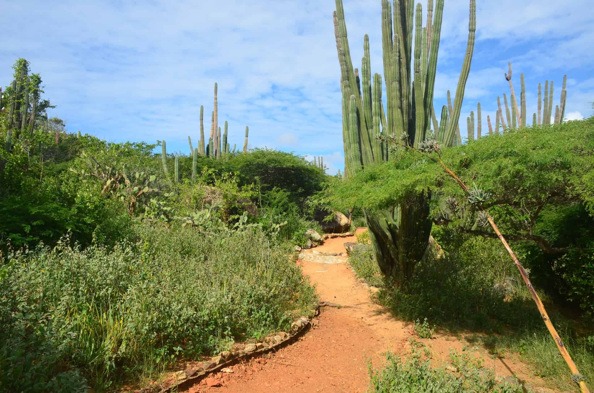 Hofi Shon Shoco at Arikok National Park in Aruba