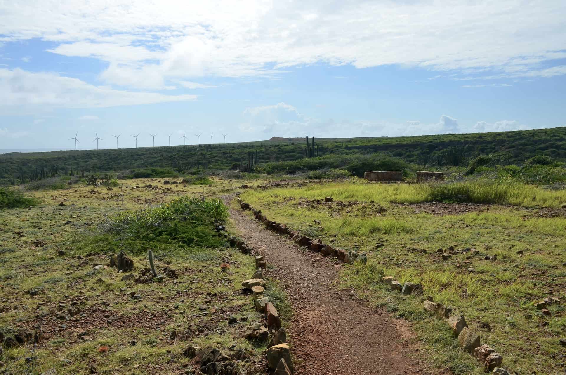 Looking south from the scenic overlook