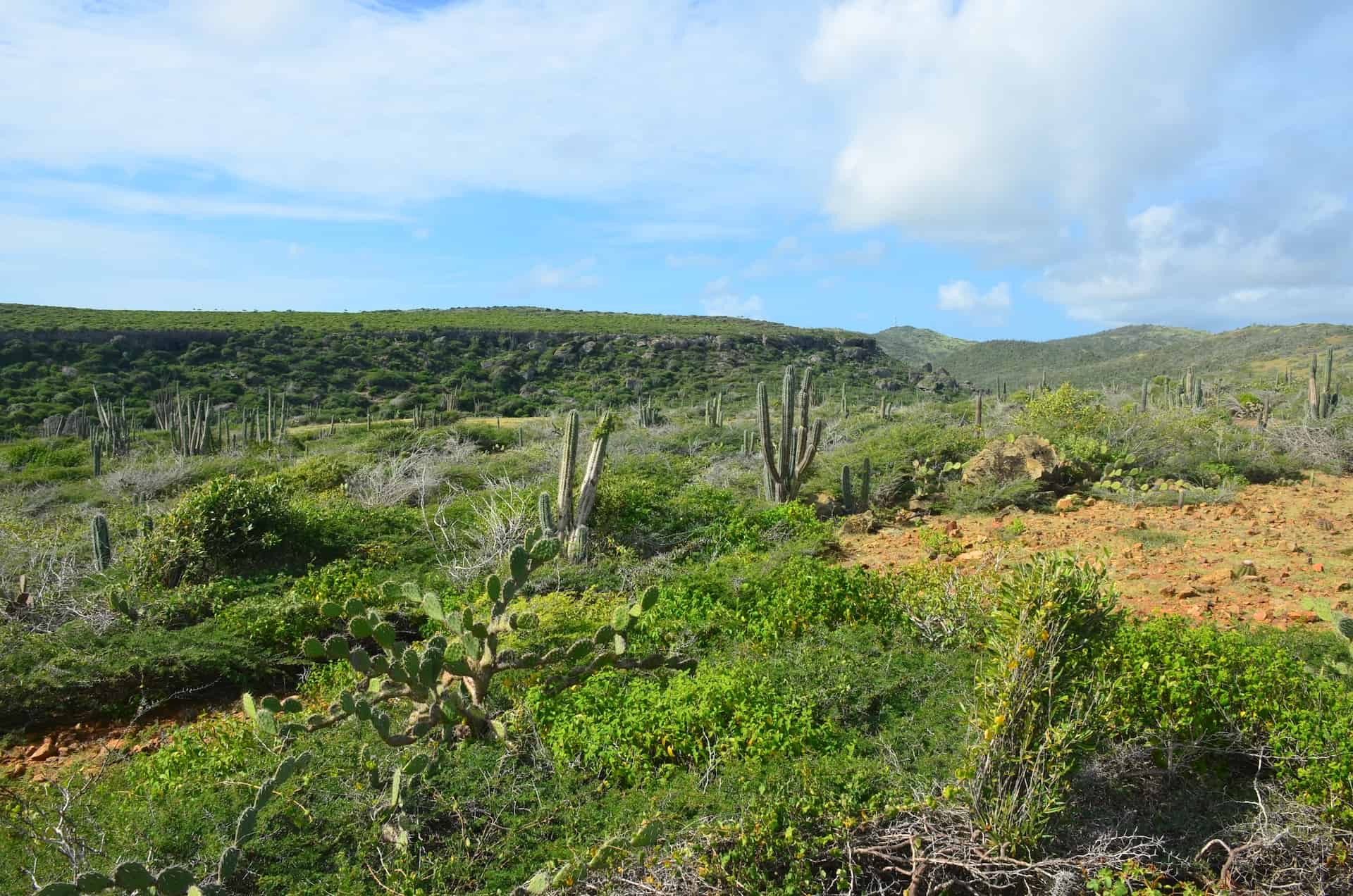 Arikok National Park