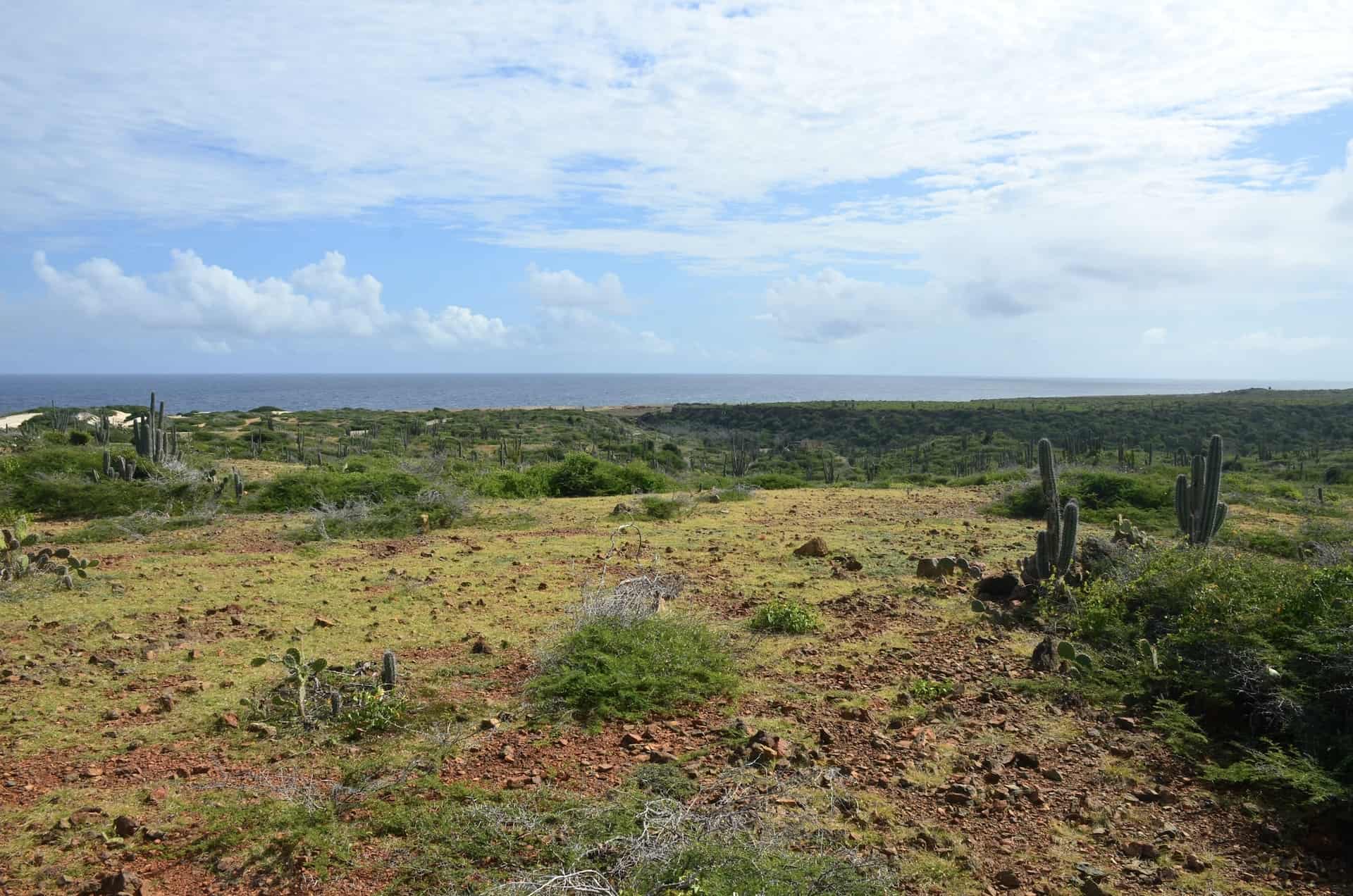 Arikok National Park