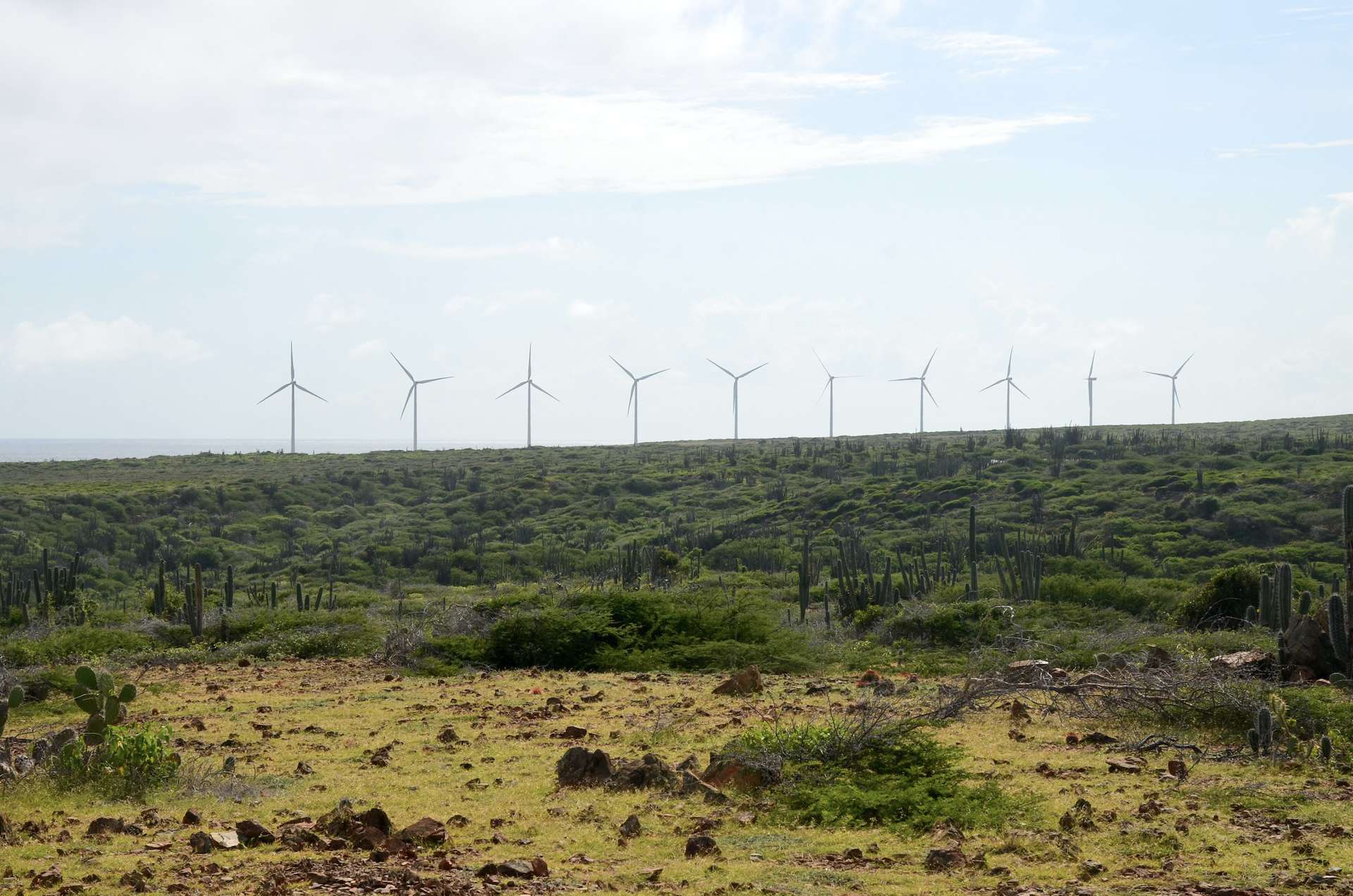 Wind farm at Vader Piet from the scenic overloo