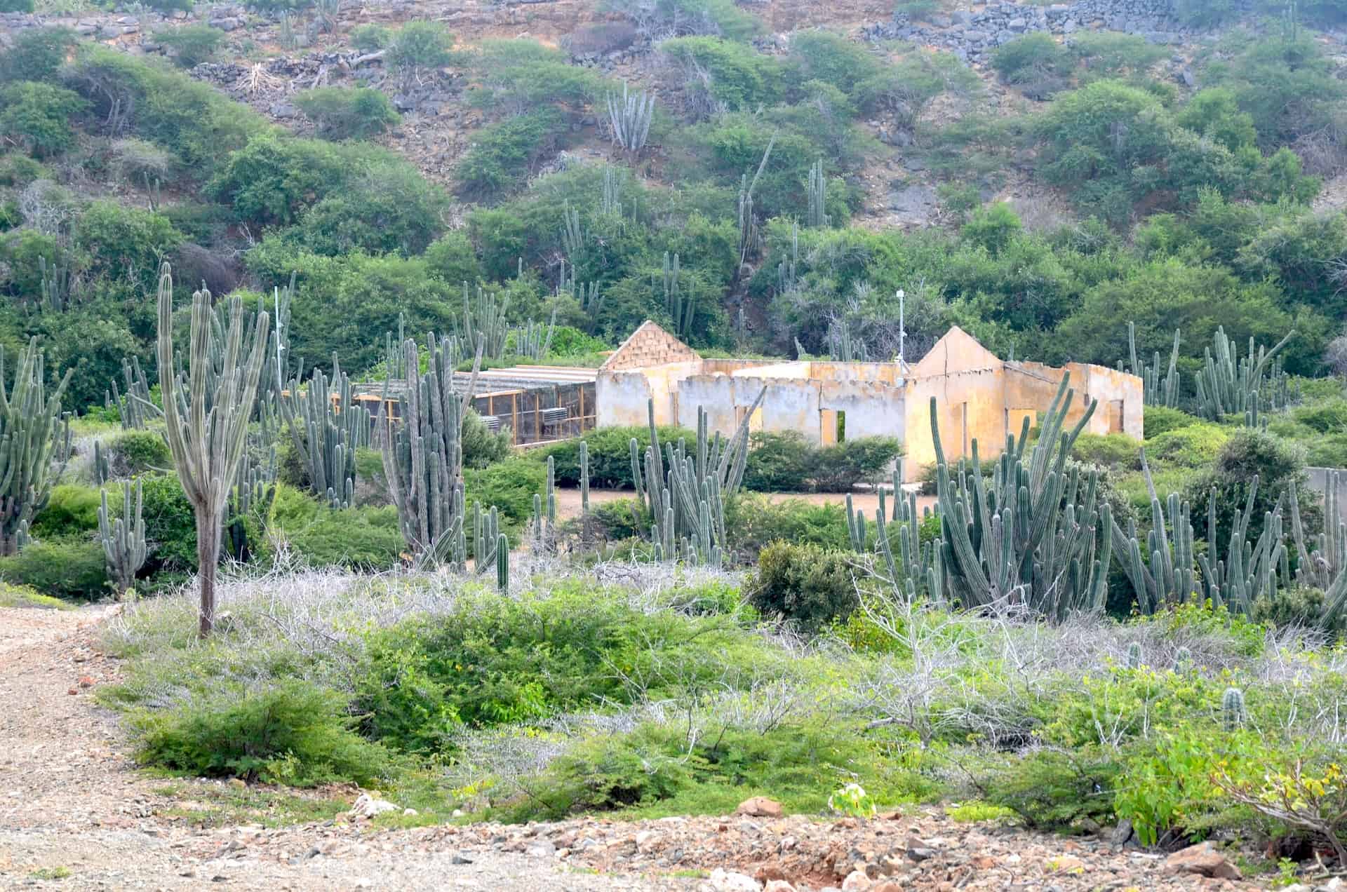 Plantage Prins at Arikok National Park in Aruba